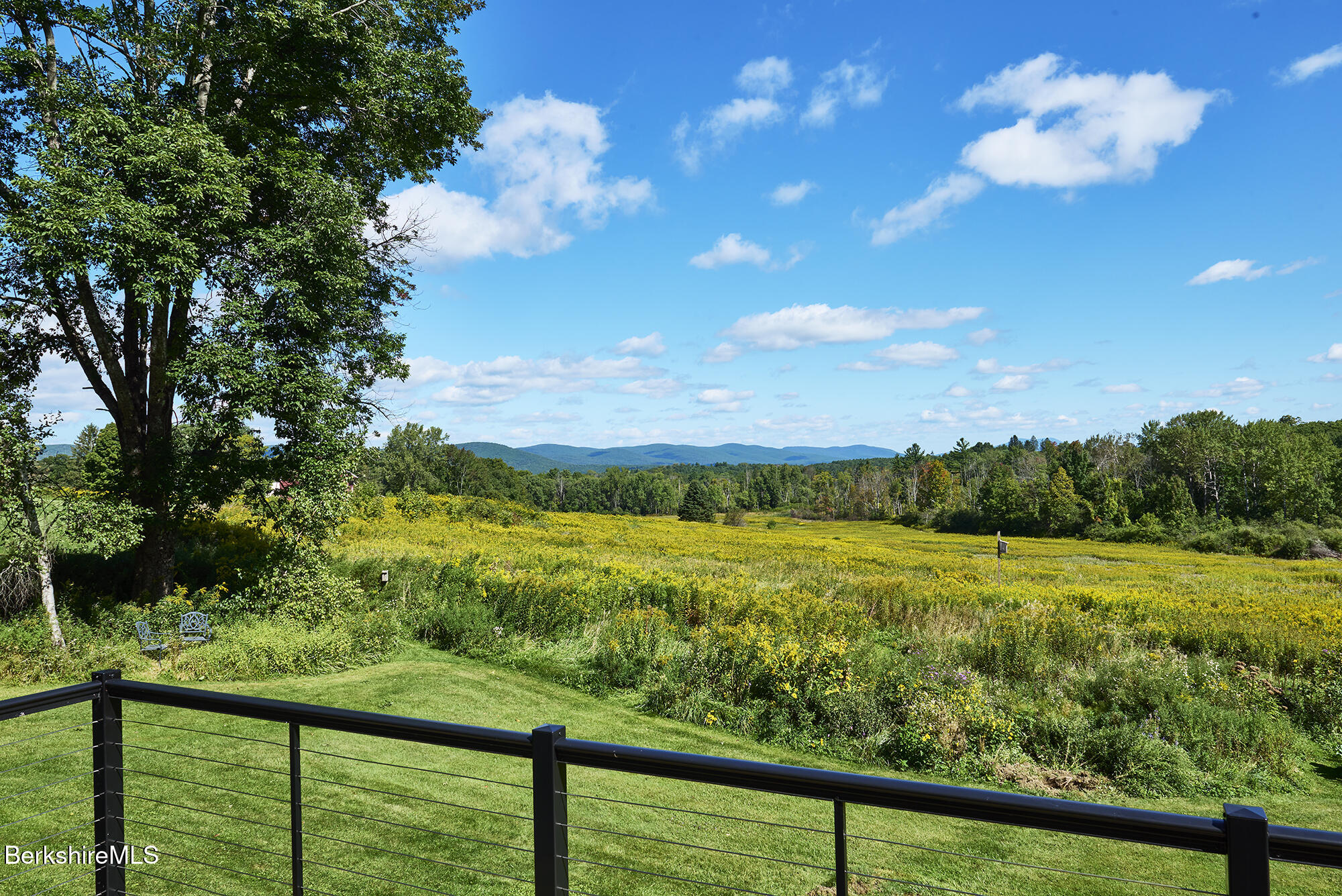 Meadow and distant mountains viewed from a deck with a black cable railing.