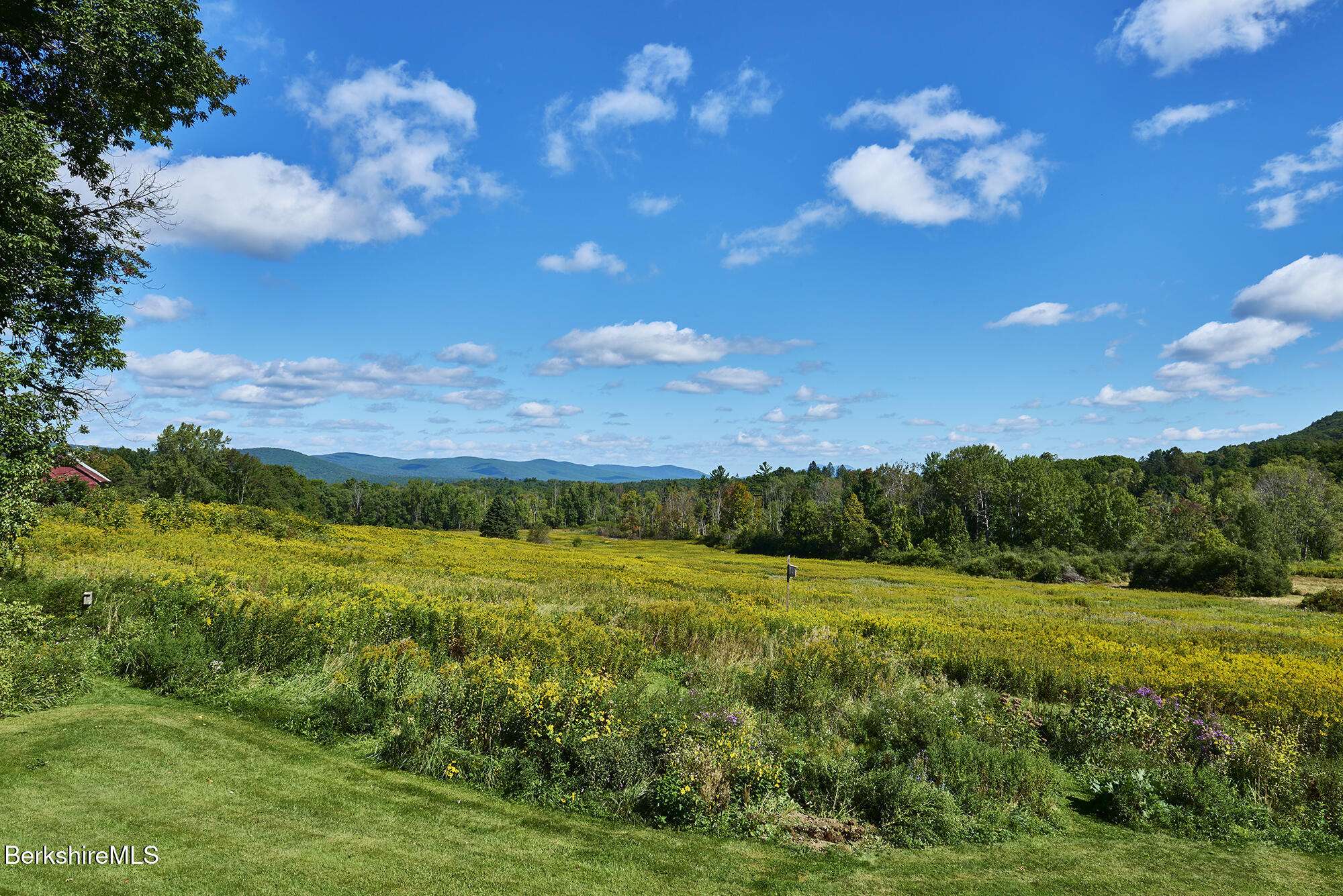 Meadow of yellow wildflowers and lawn, with wooded hills and distant mountain ridges.