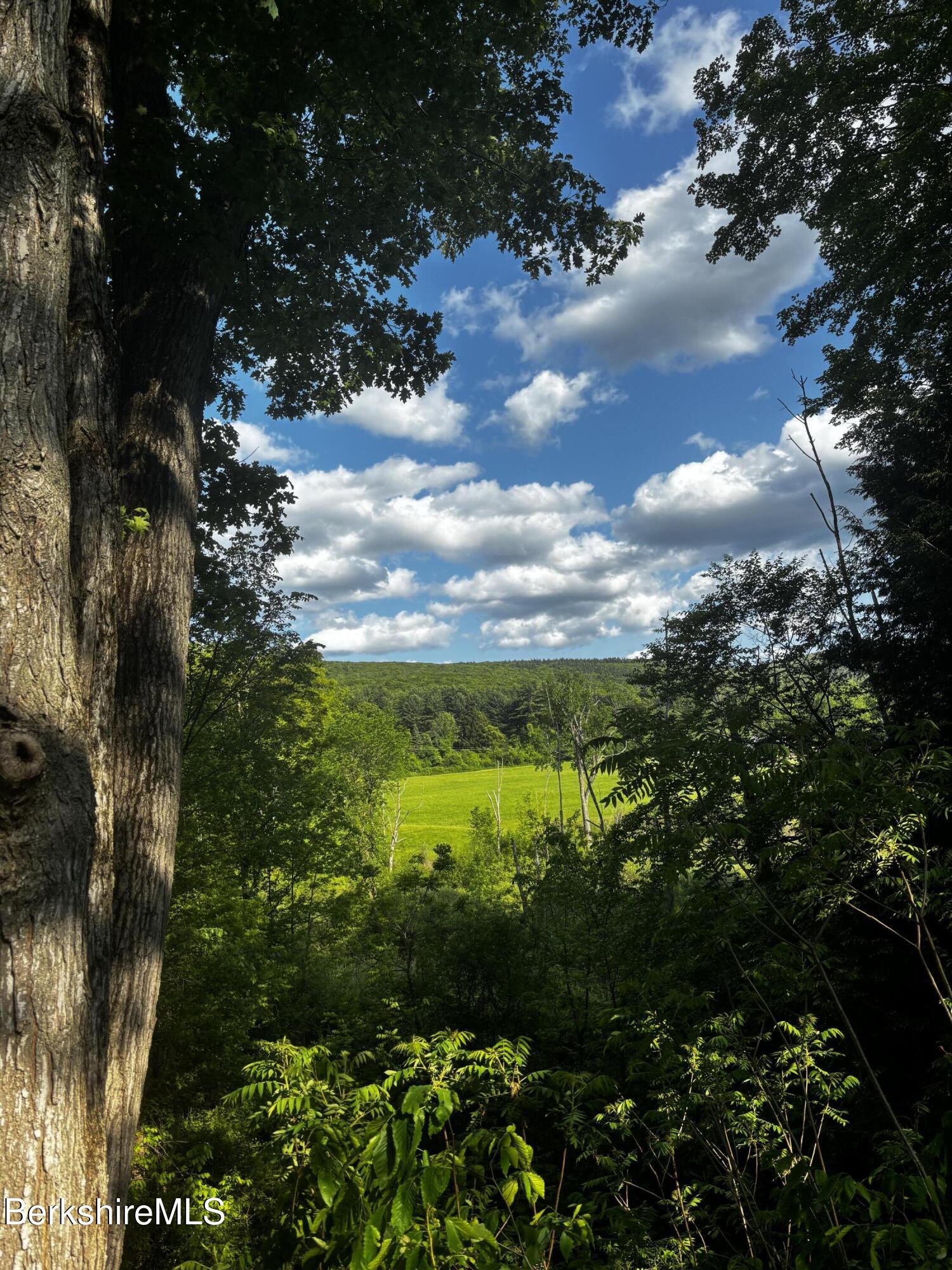 A green meadow and wooded hills framed by trees beneath a blue, cloud-filled sky.