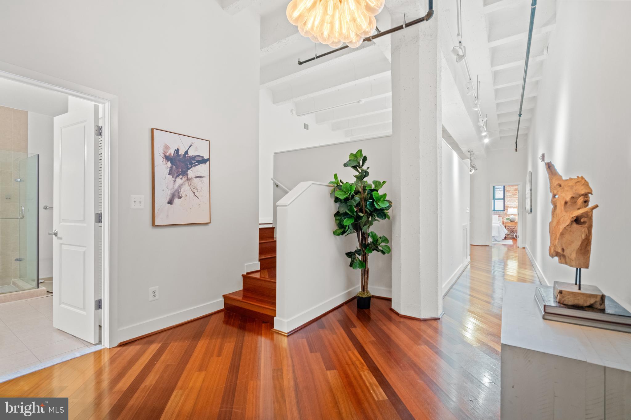 1701 KALORAMA ROAD NW 207