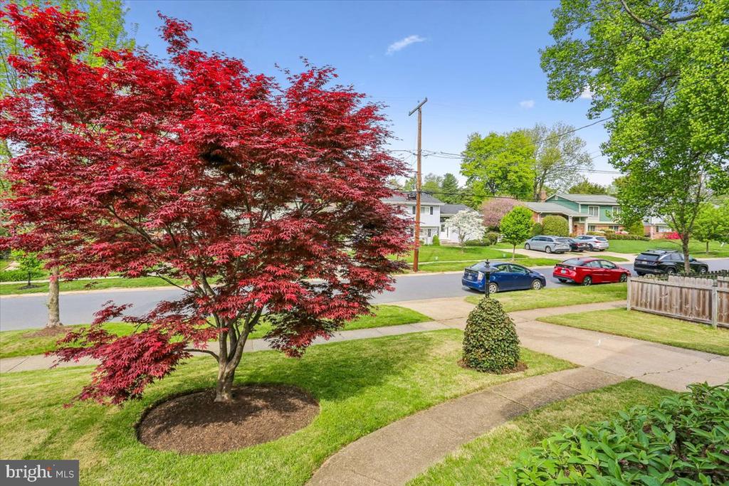 9909 ASHBURTON LANE