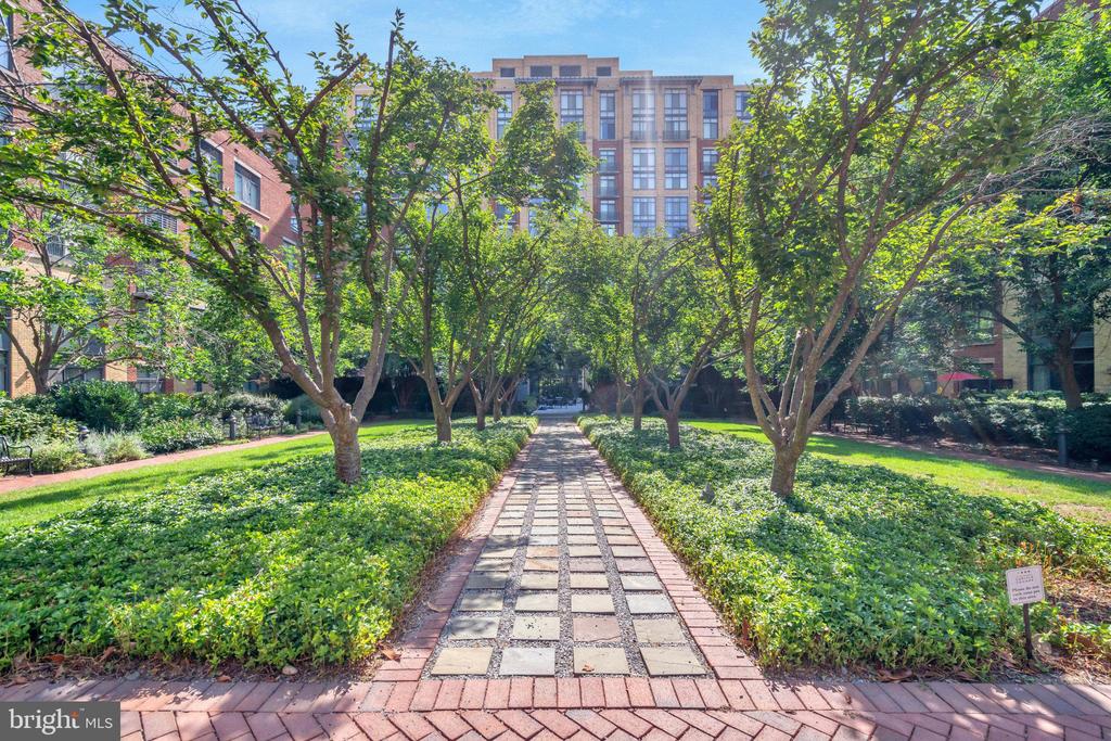 520 John Carlyle St #226