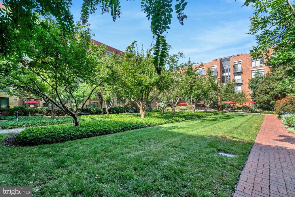 520 John Carlyle St #226