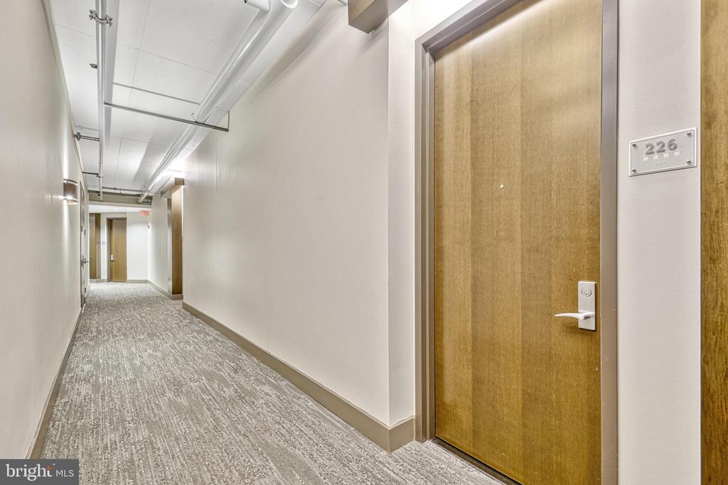 520 John Carlyle St #226