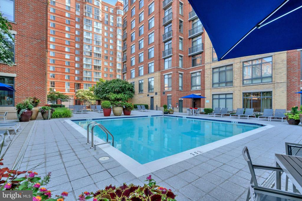 520 John Carlyle St #226