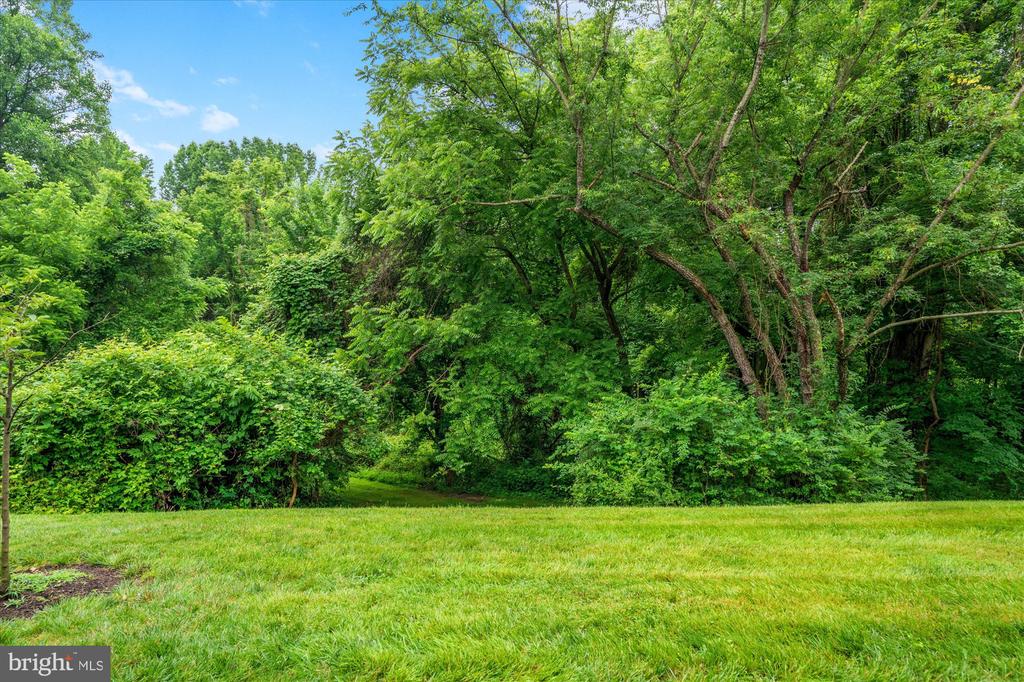 3971 Hancock Forest Trl