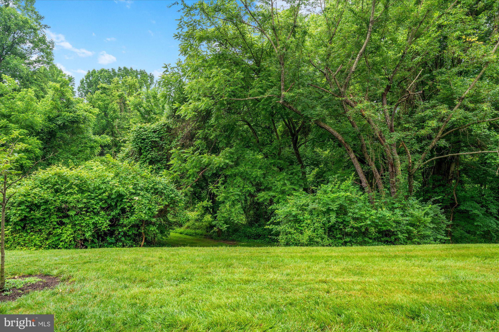 3971 Hancock Forest Trl