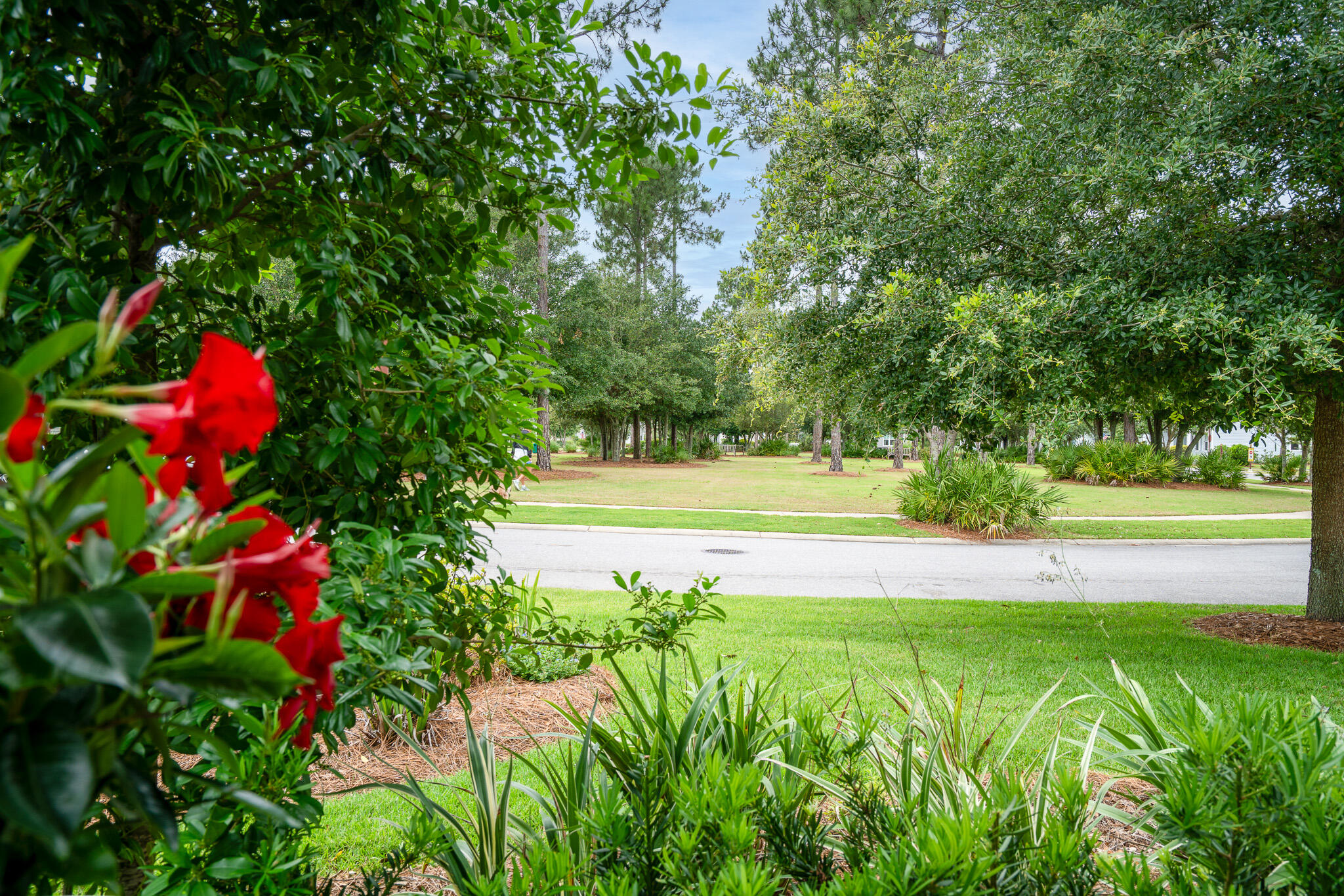 229 Sandchase Circle