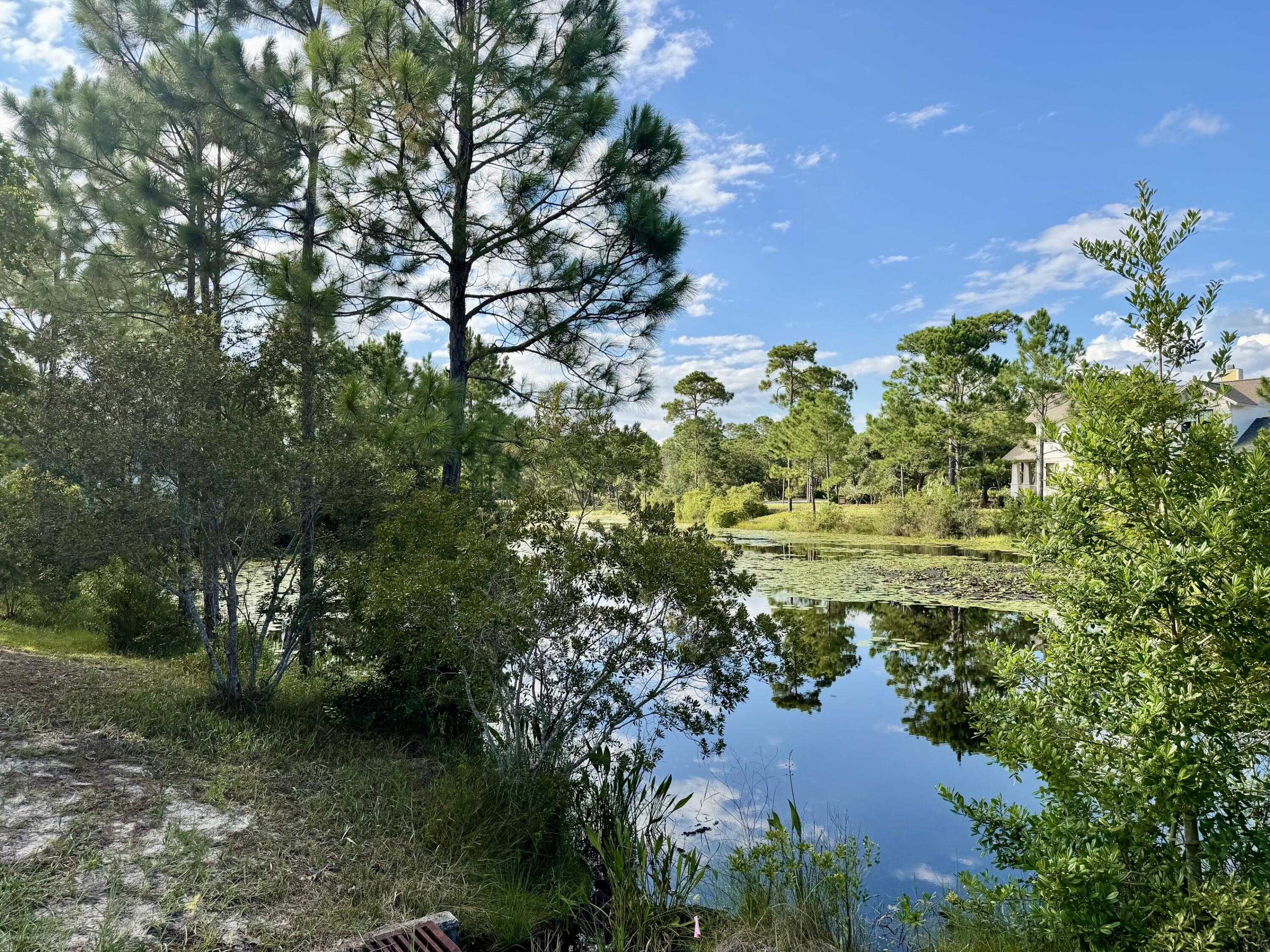 1209 W Water Oak
