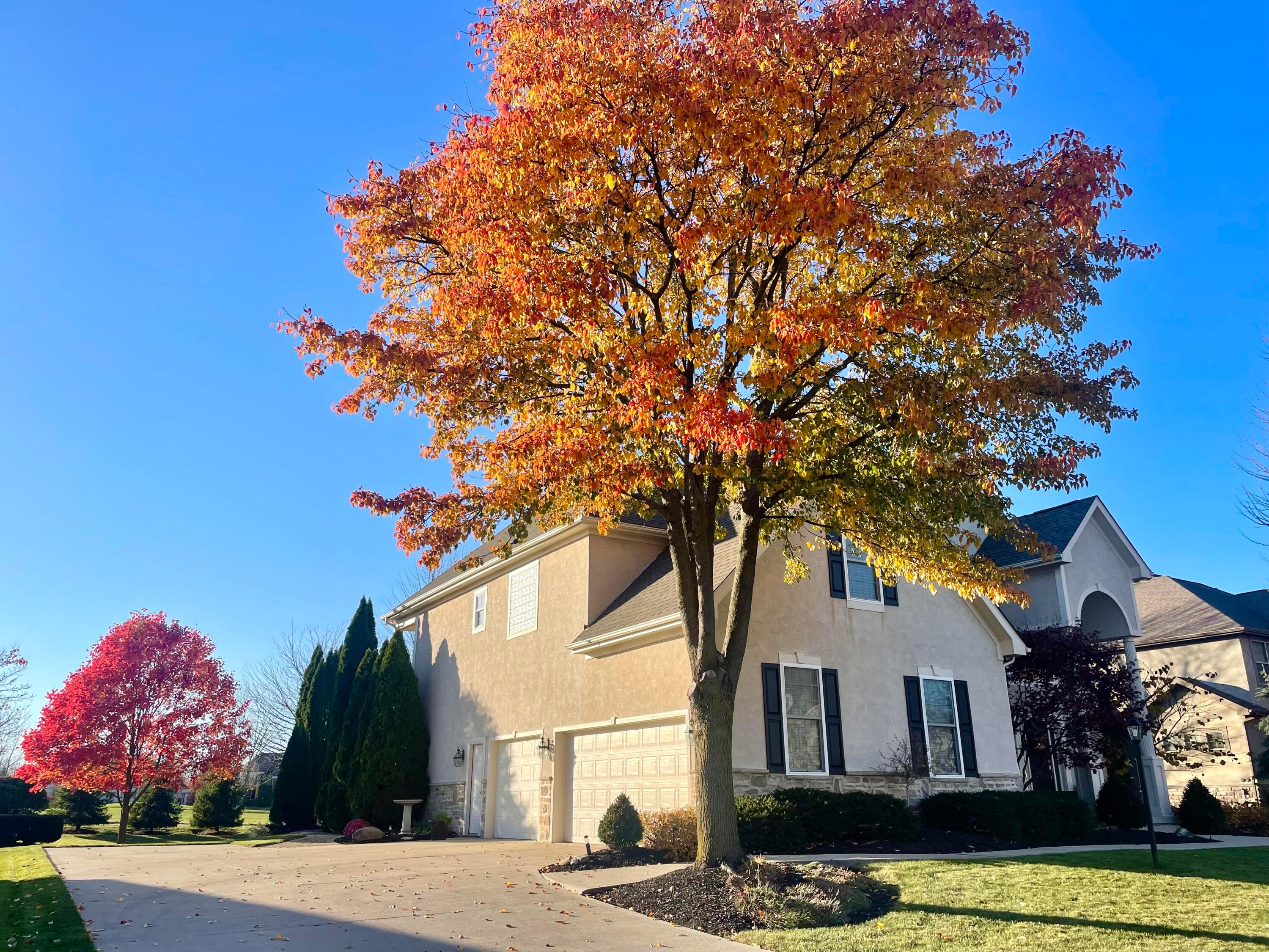 5795 Baronscourt Way