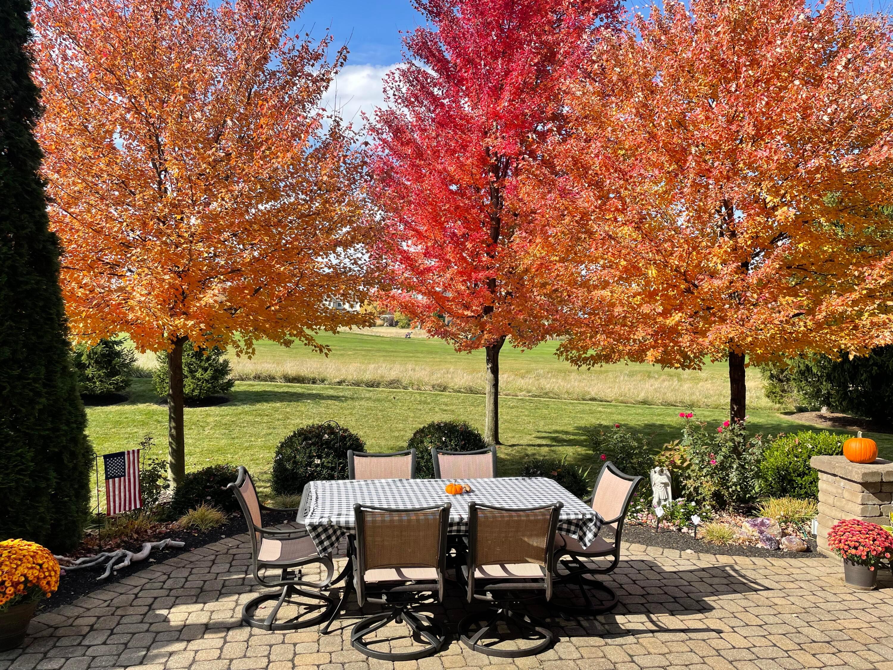 5795 Baronscourt Way