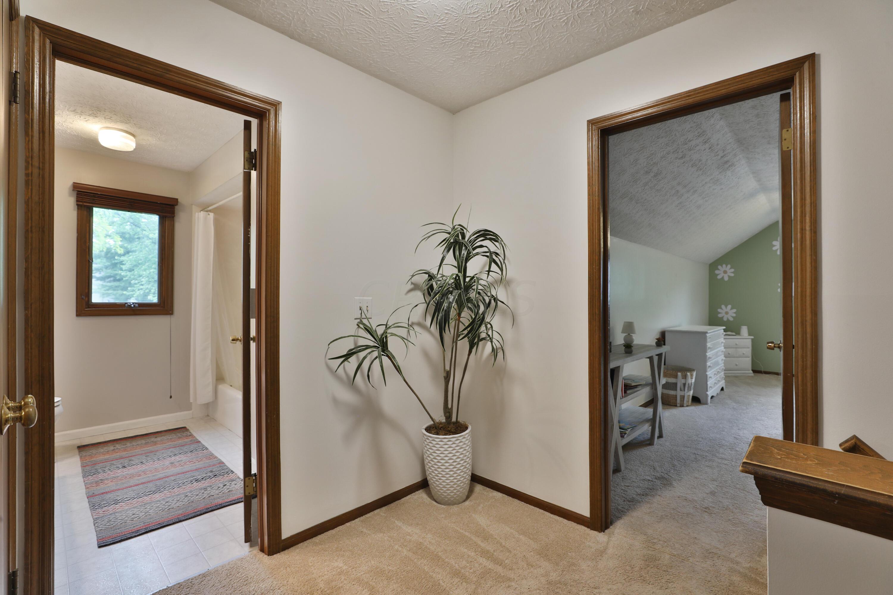 6979 Shetland Street