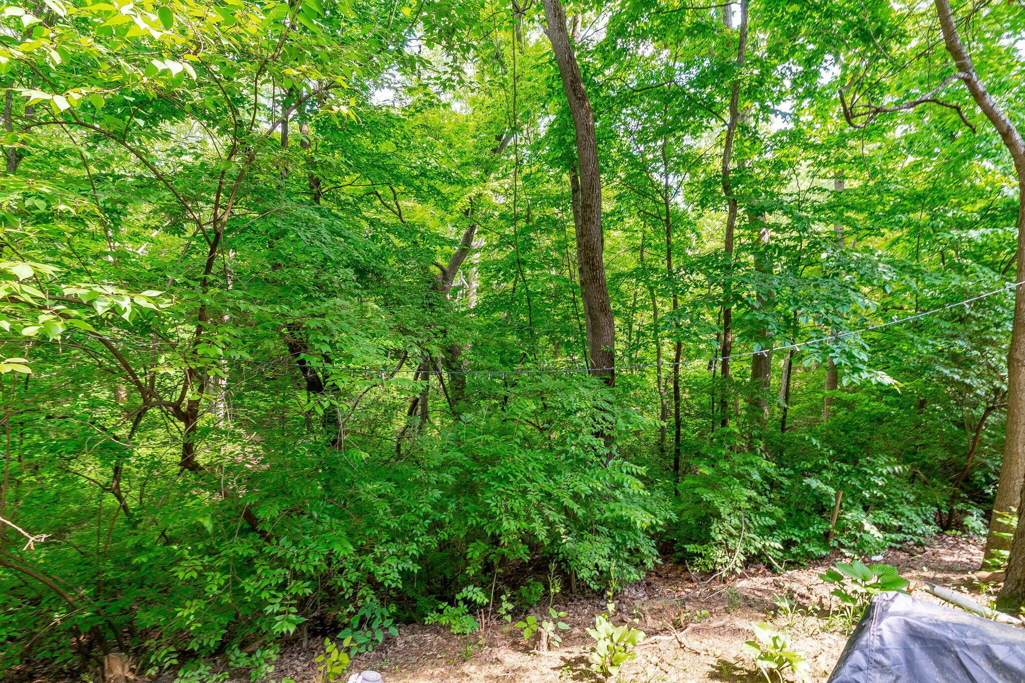 3258 Brookview Way, 13