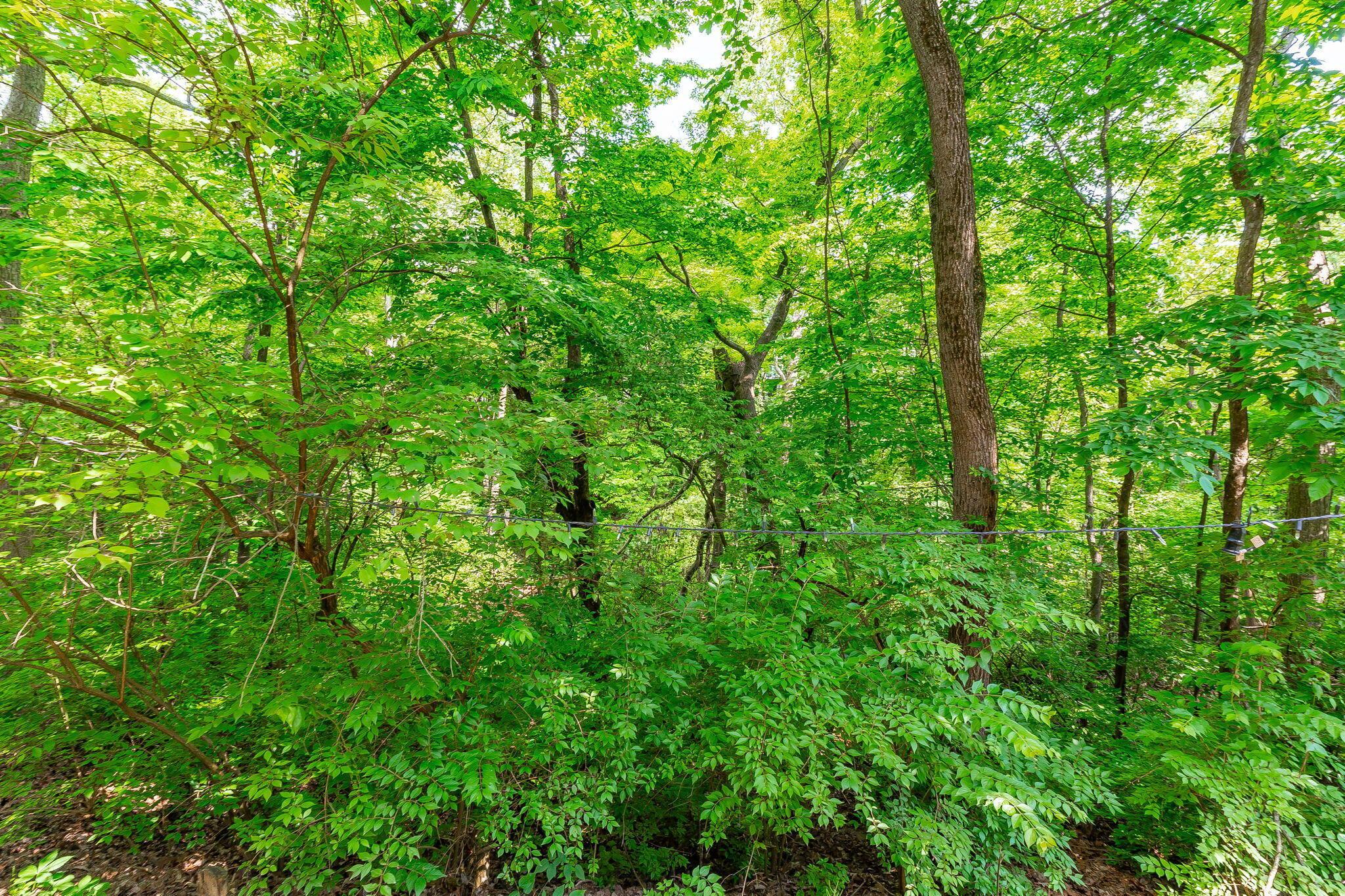 3258 Brookview Way, 13