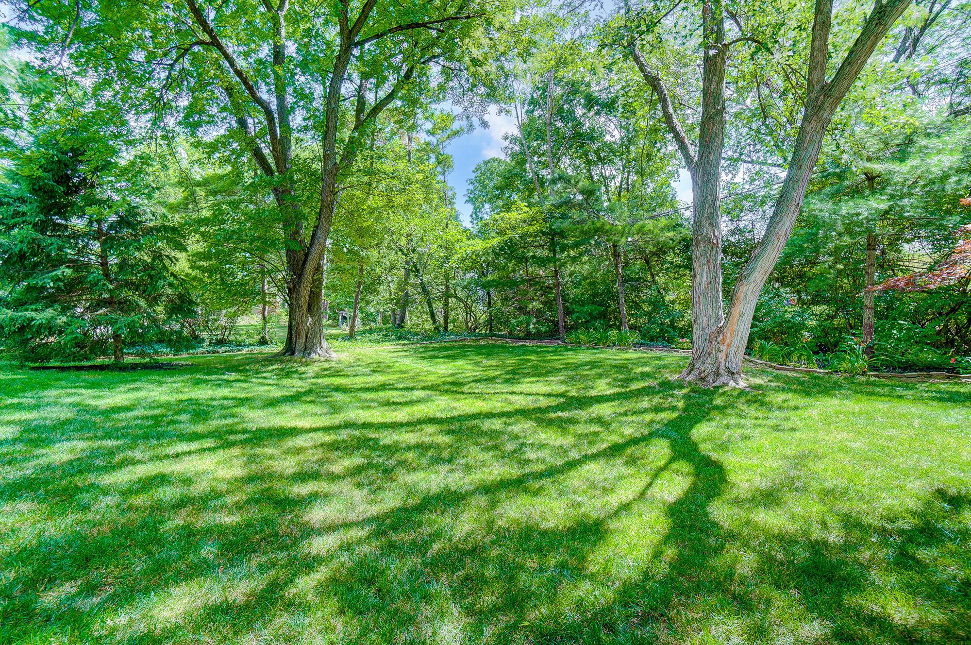 4220 Mountview Road