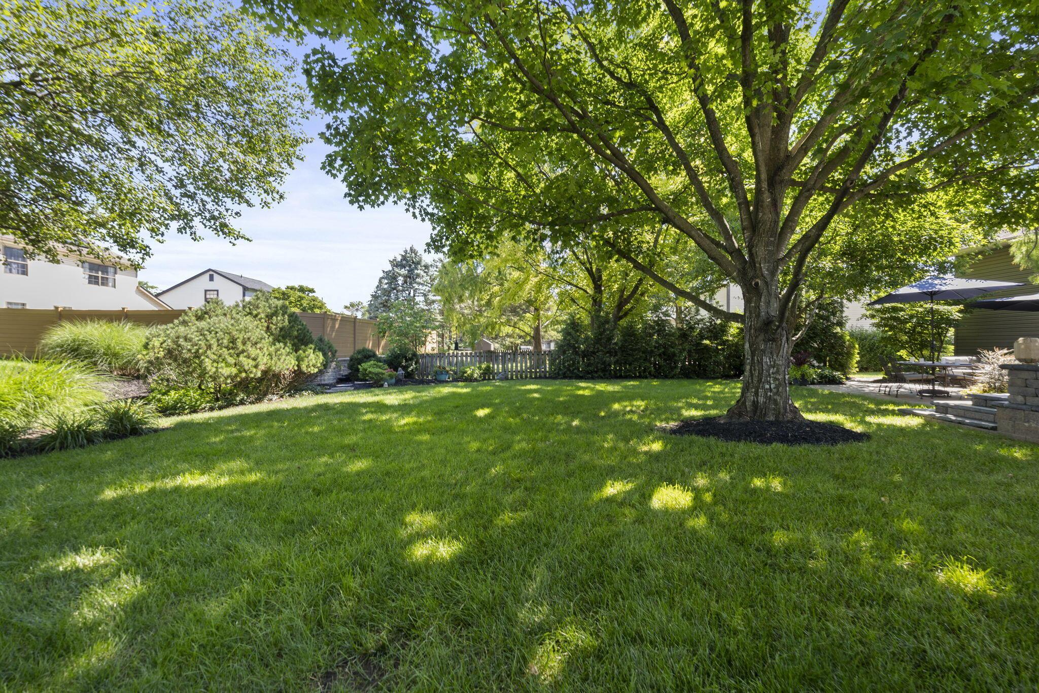 3700 Mountshannon Road