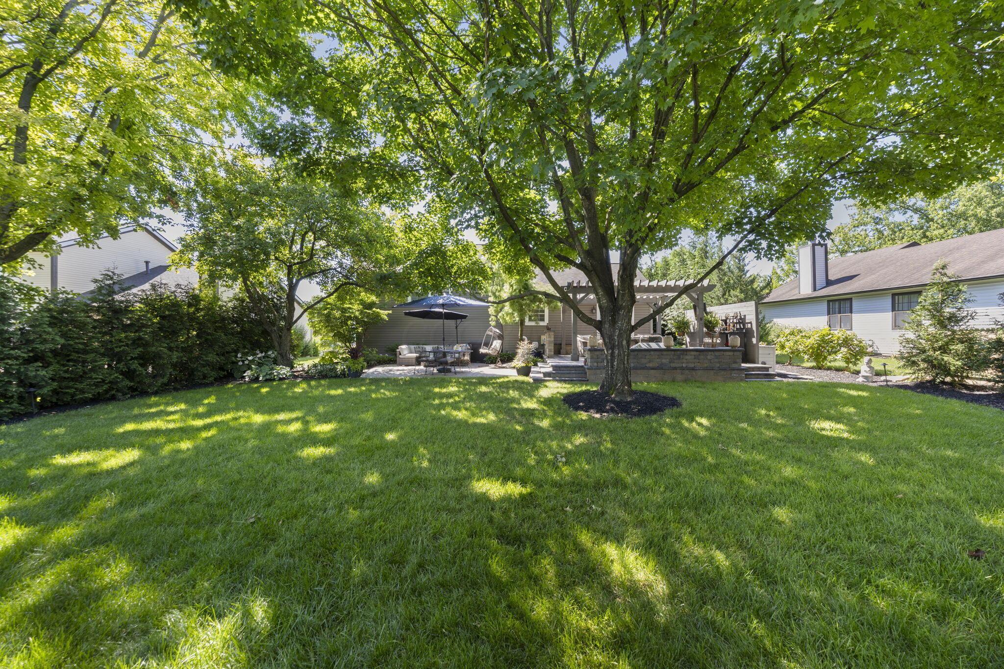 3700 Mountshannon Road