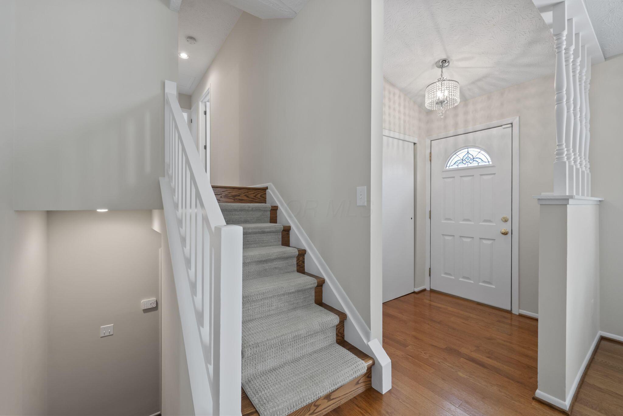 3700 Mountshannon Road