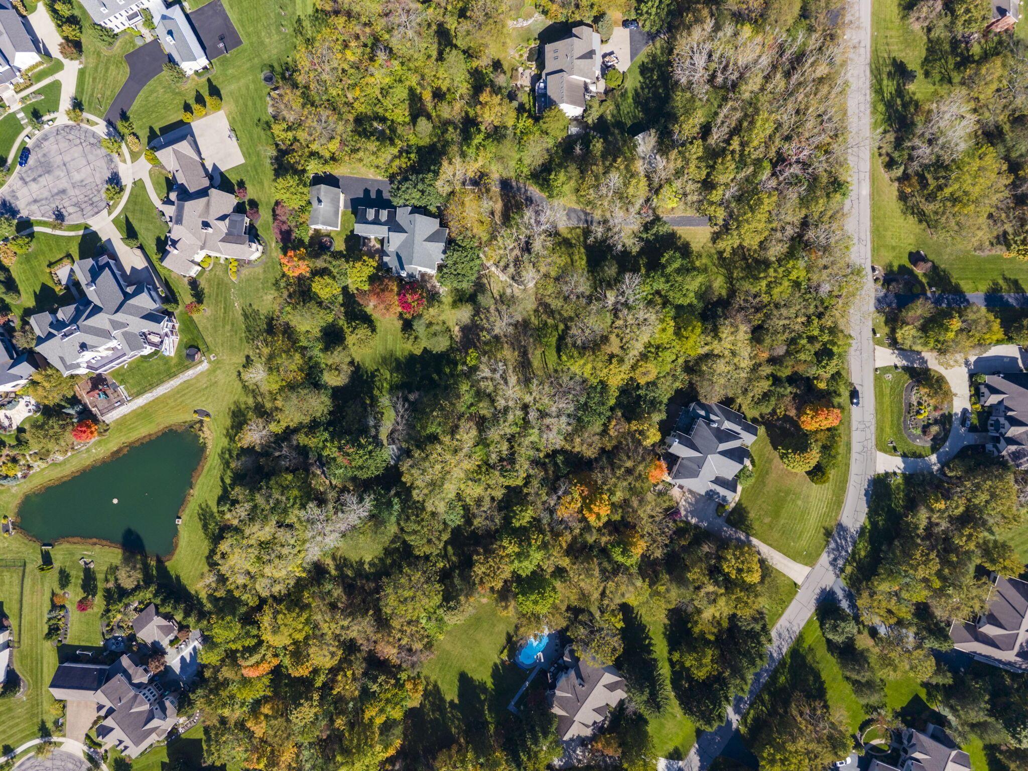 9776 Erin Woods Drive