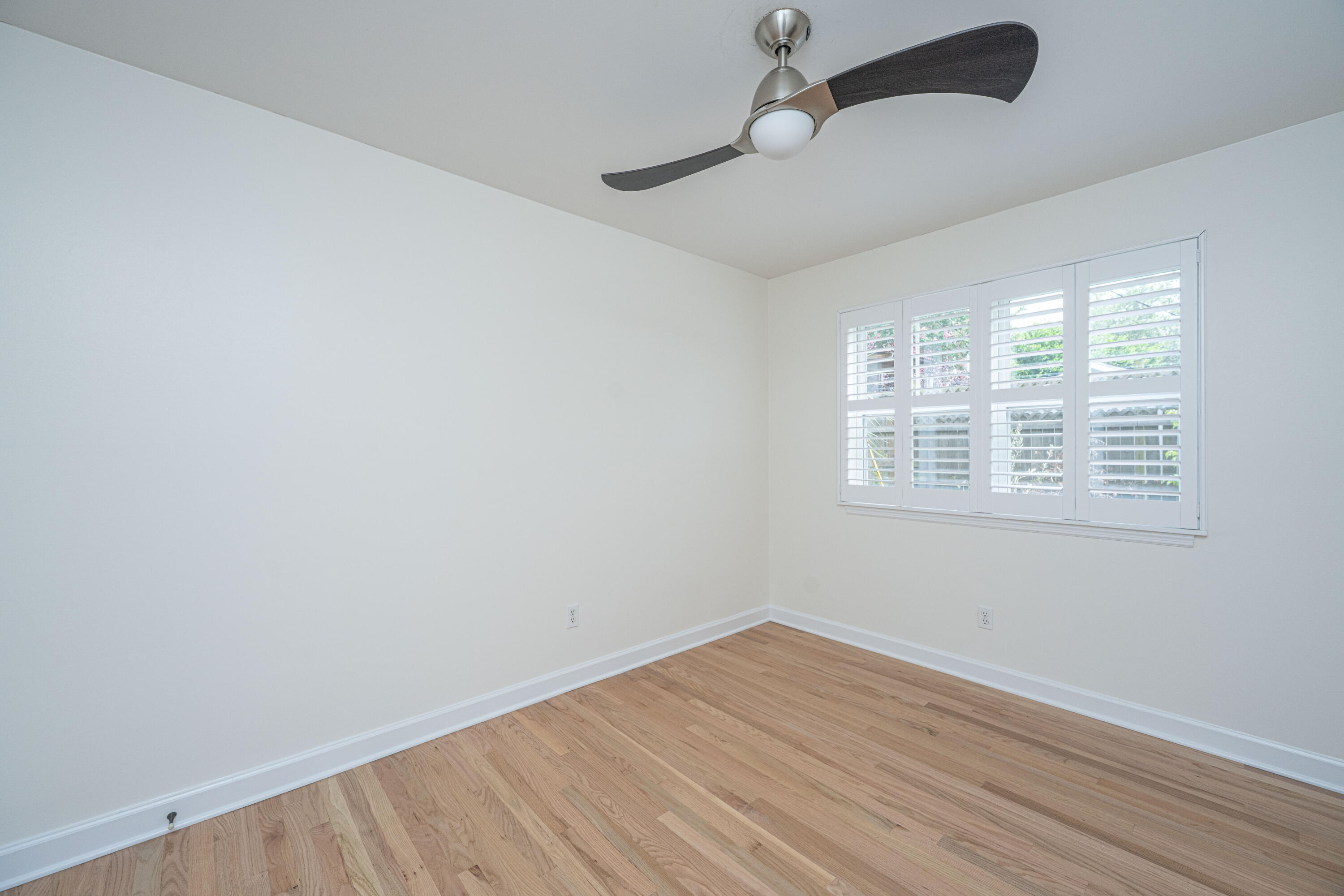 161 St Margaret Street # 5