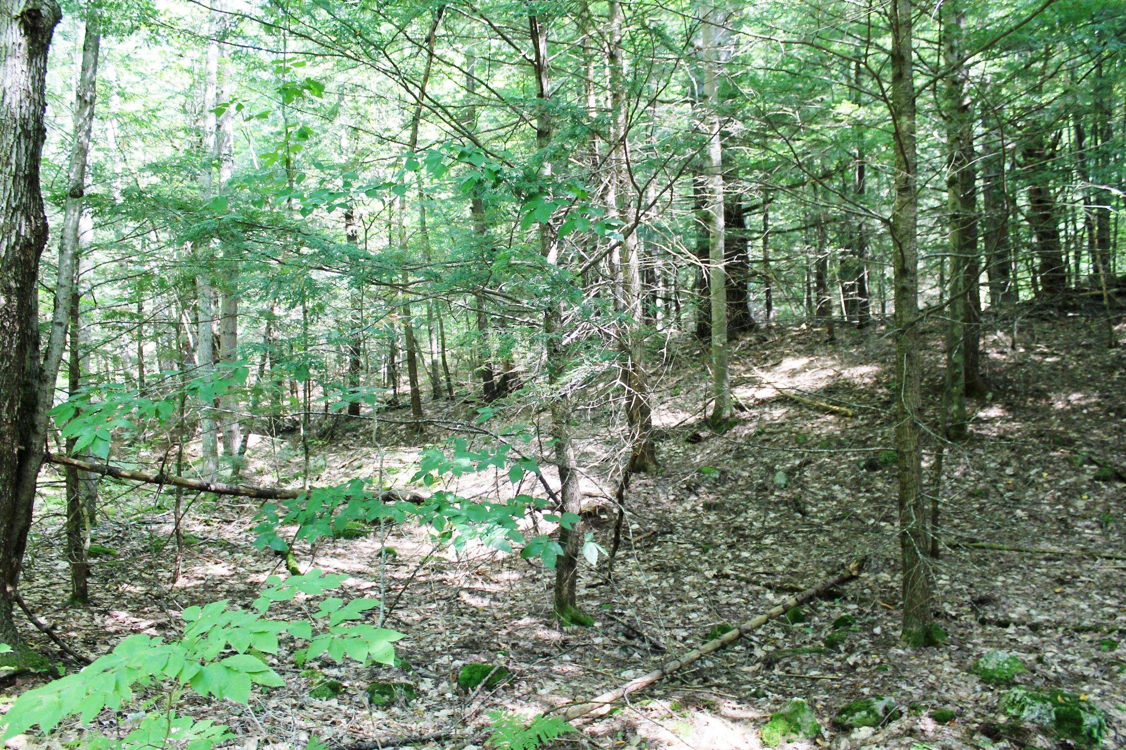 7-56 Old Coach Road
