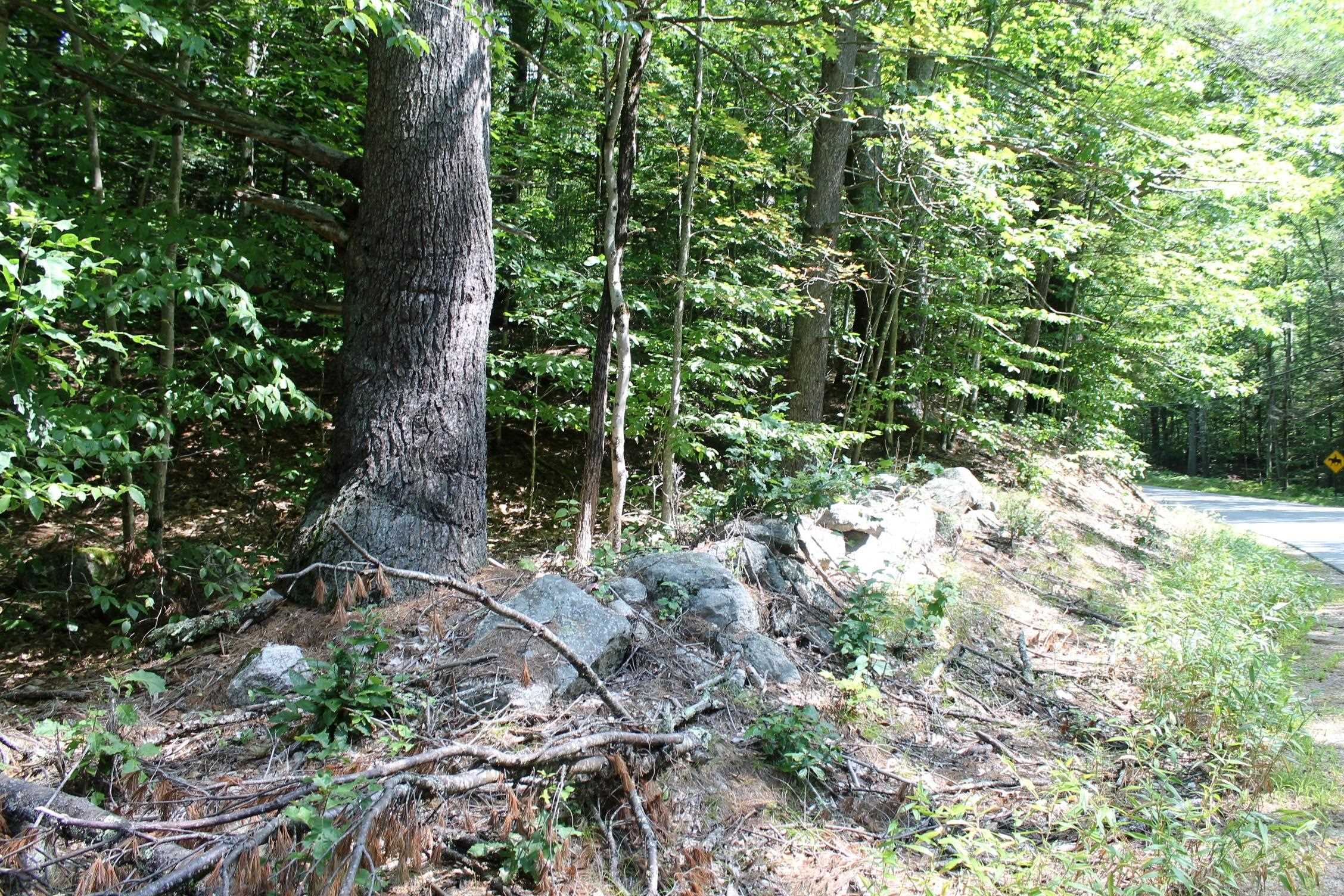 7-56 Old Coach Road