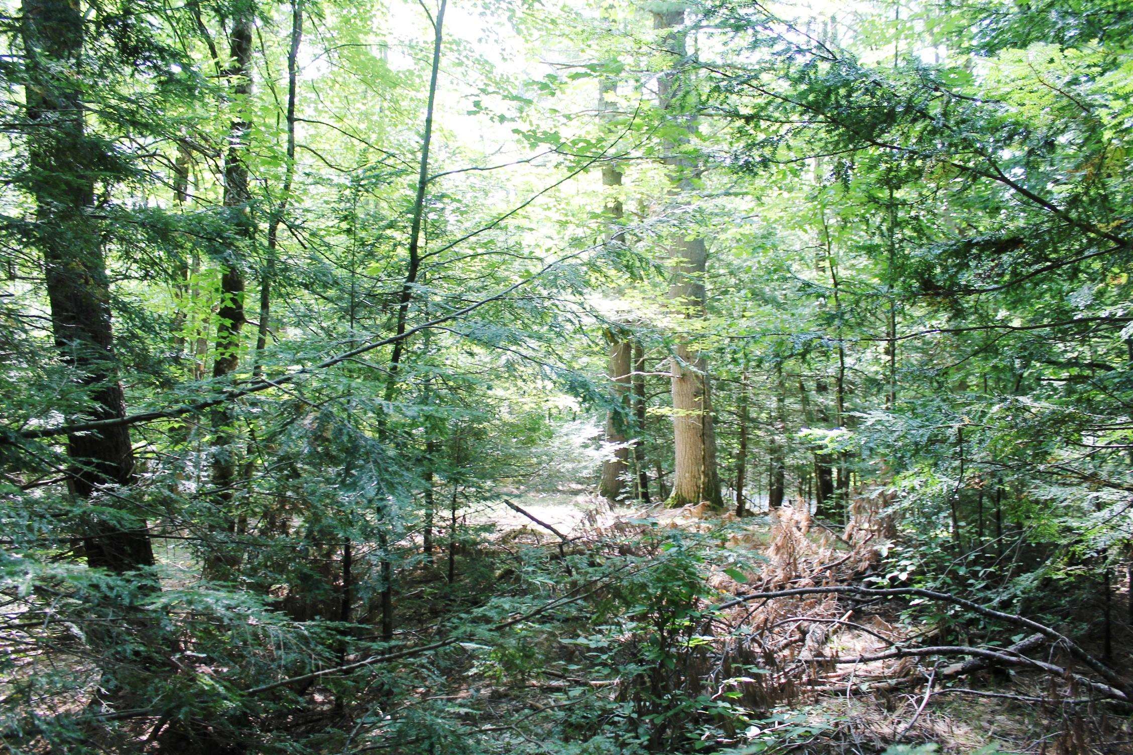 7-56 Old Coach Road