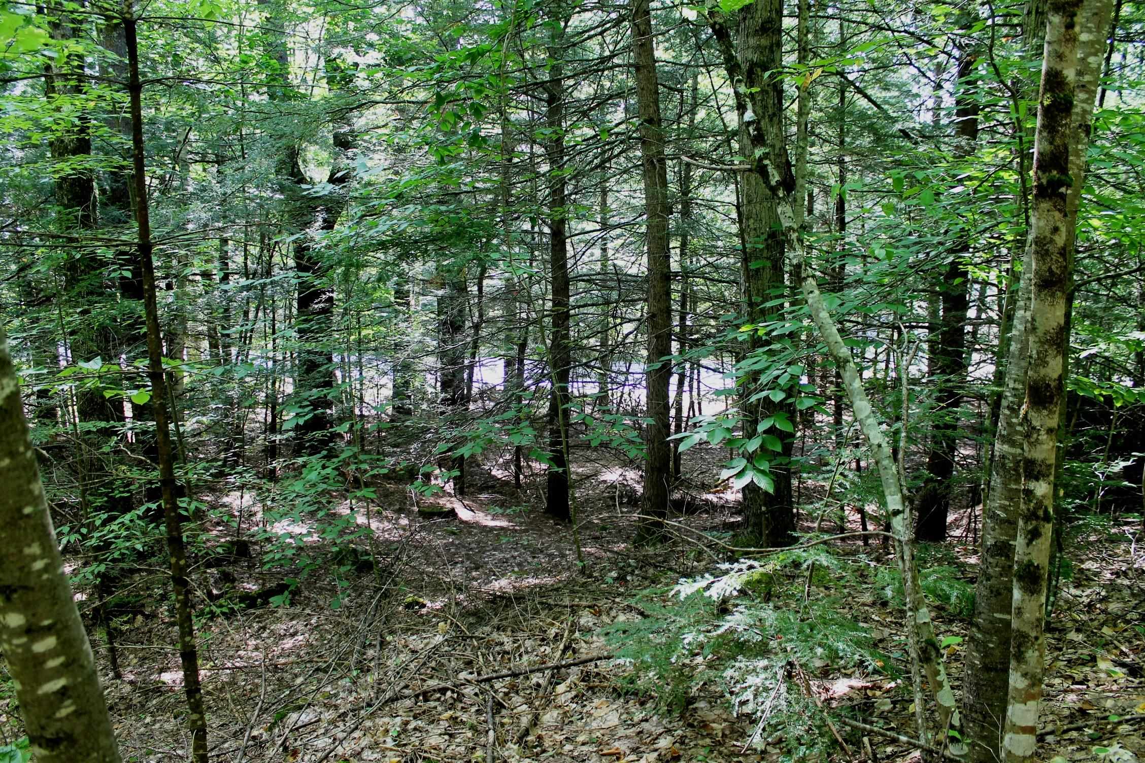 7-56 Old Coach Road