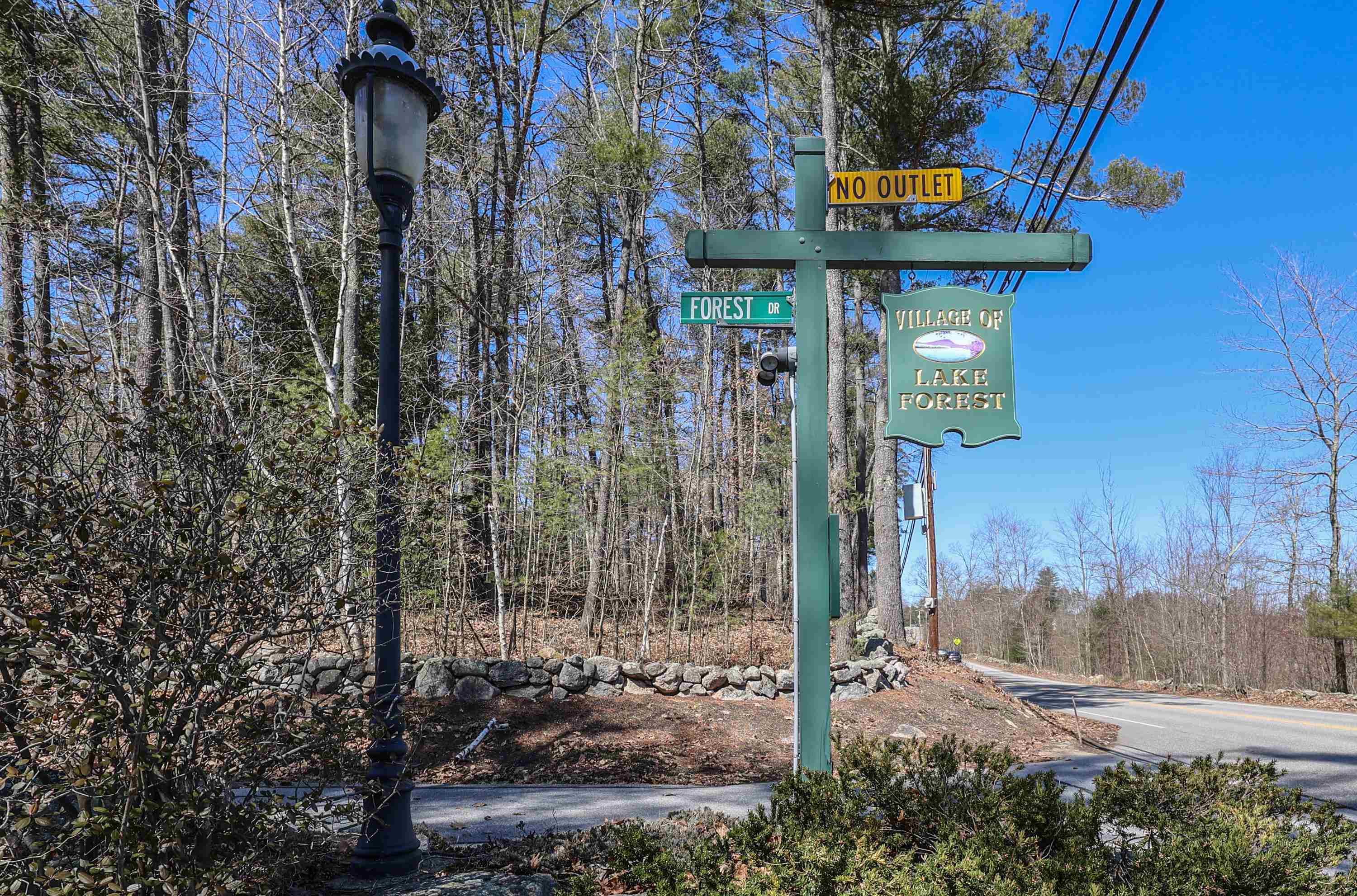 54 Forest Drive