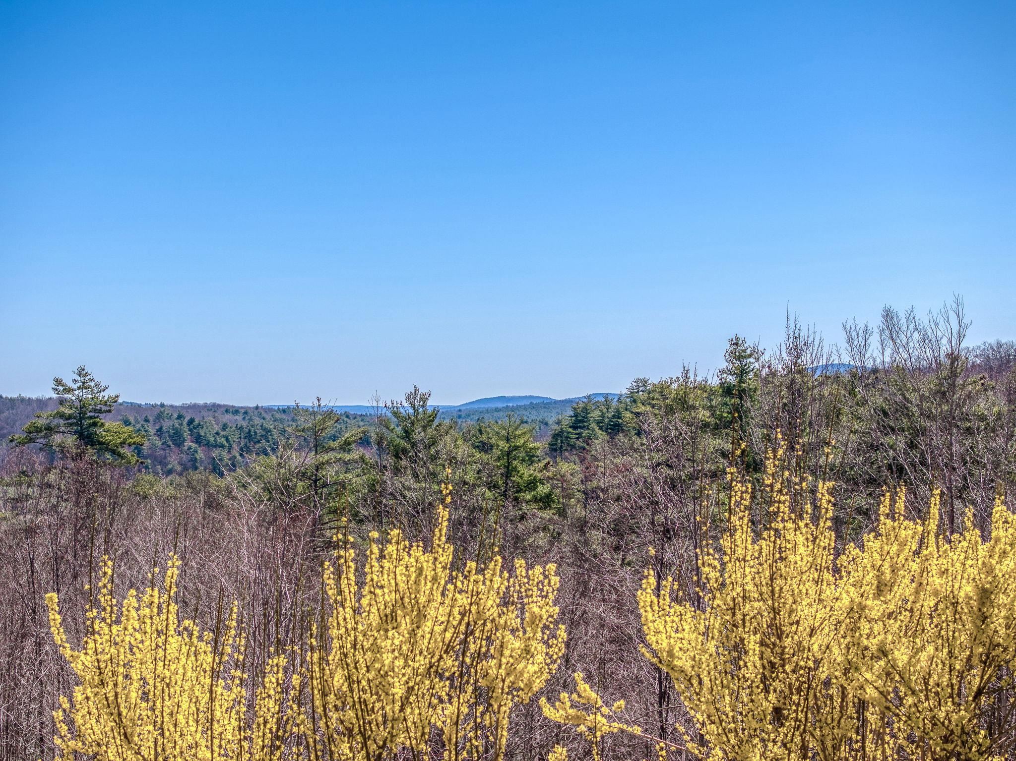 127 Bunker Hill Road