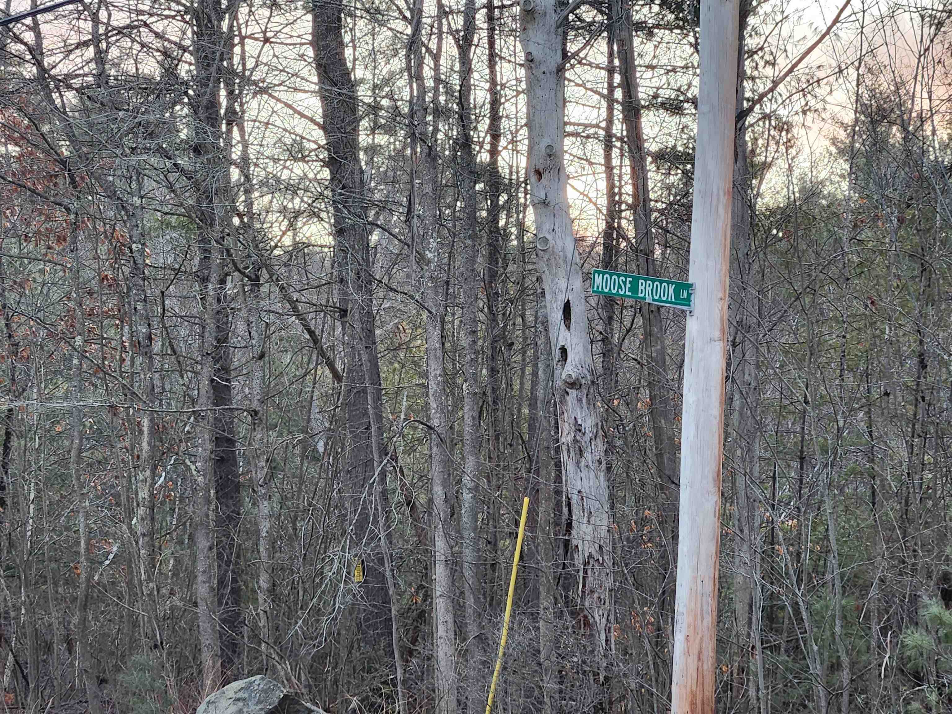 Lot 7 Moose Brook Lane