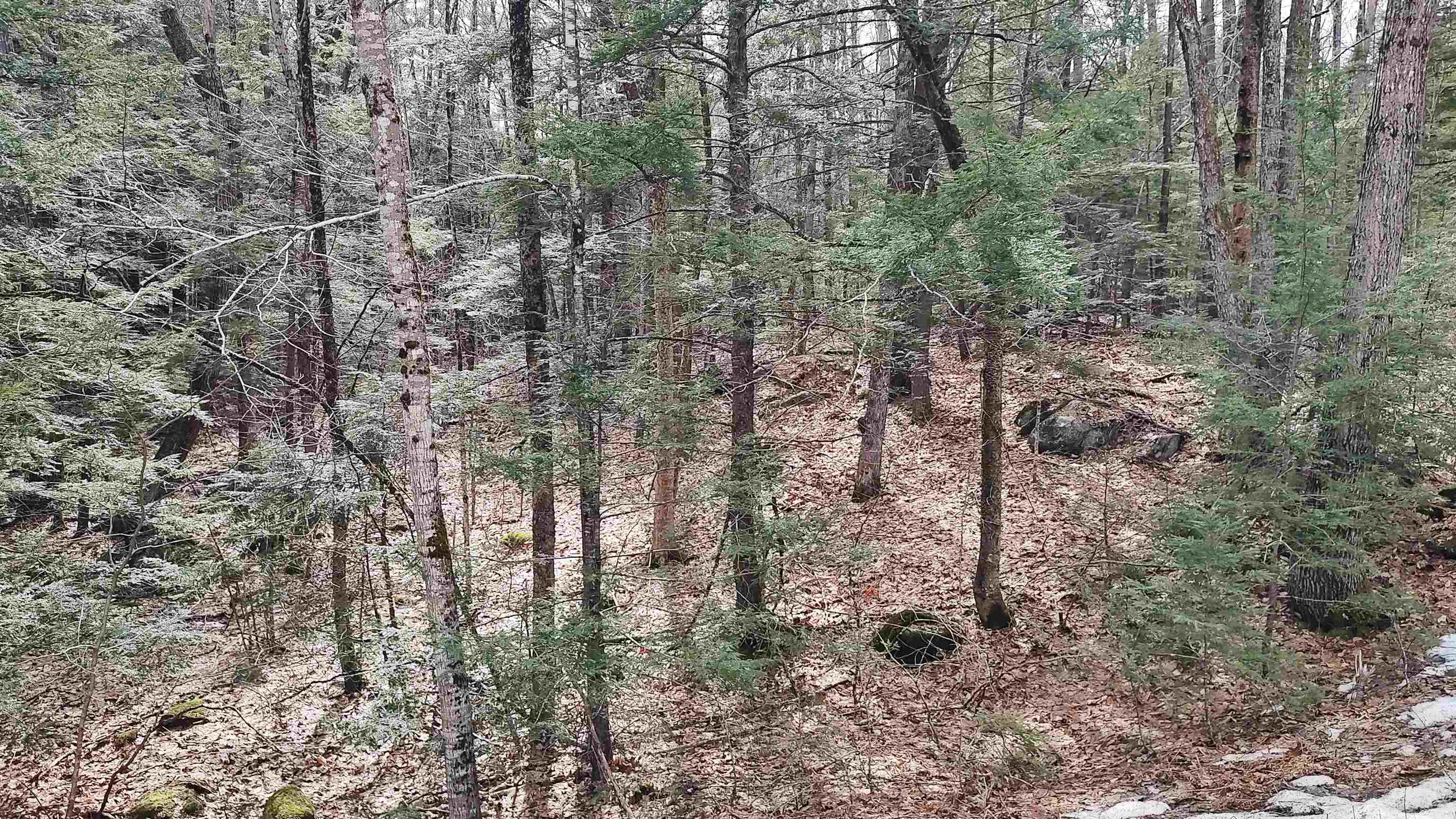 Lot 2-31-6 Bessie Leavitt Lane