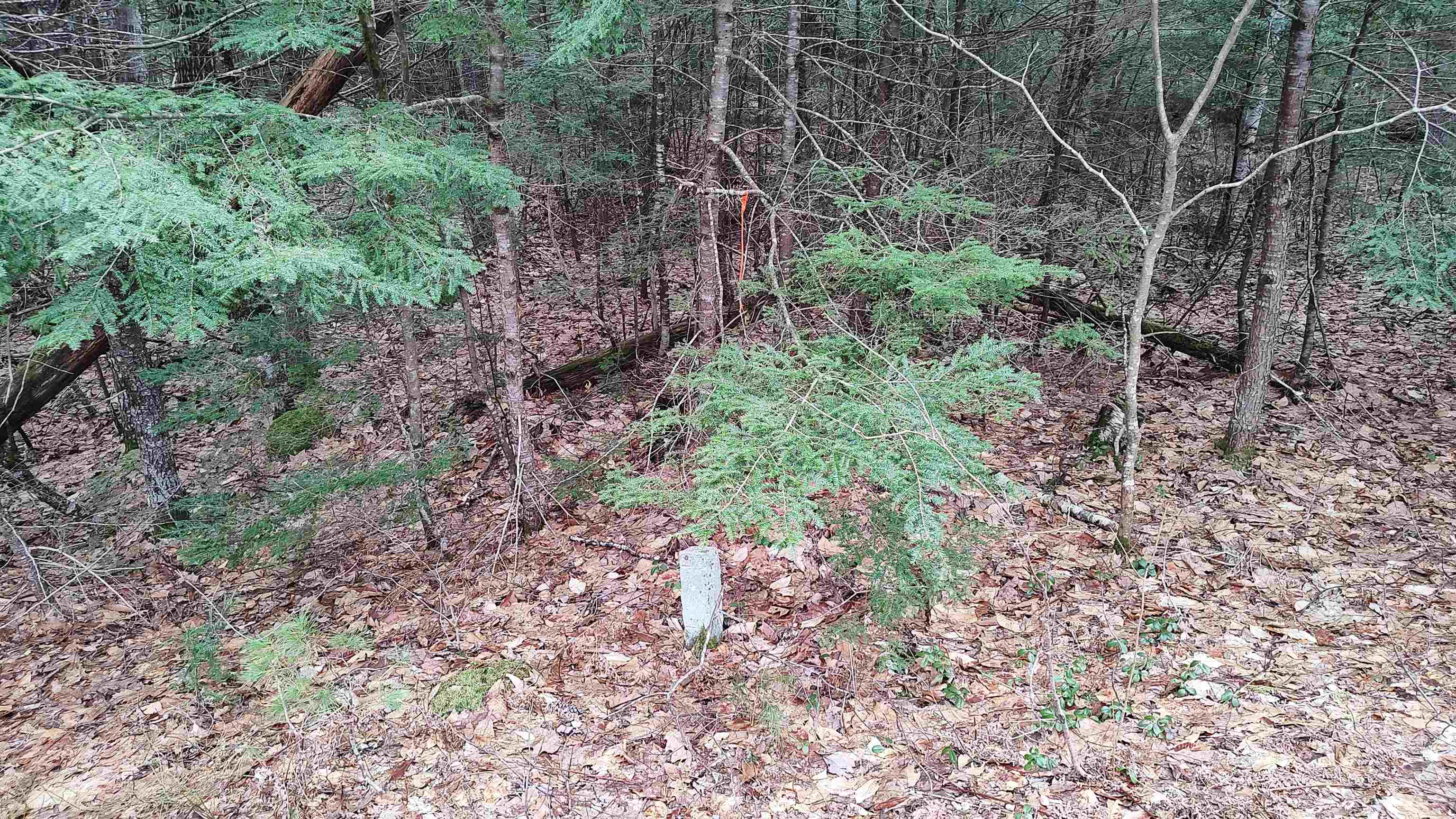 Lot 2-31-6 Bessie Leavitt Lane