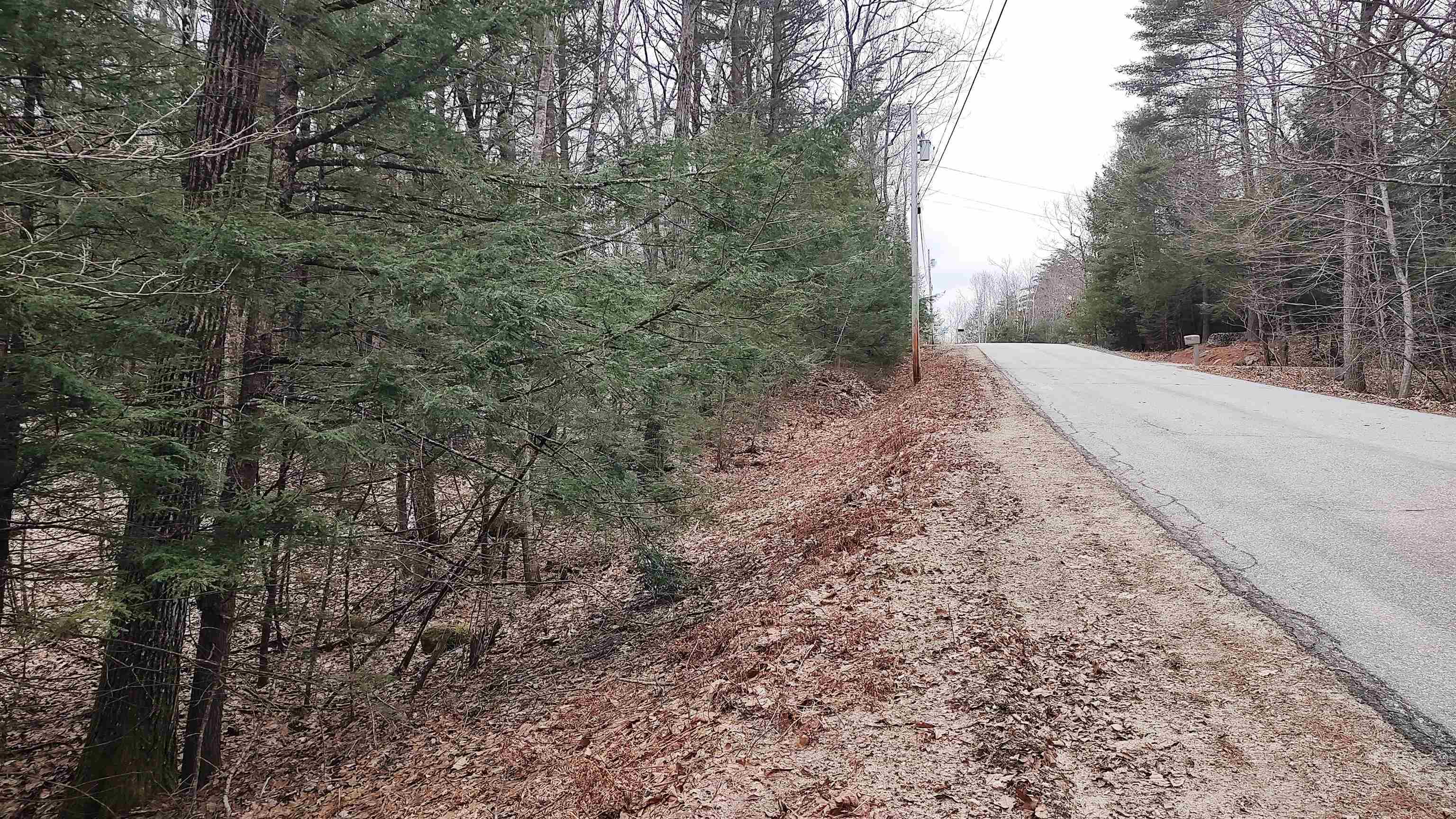 Lot 2-31-6 Bessie Leavitt Lane