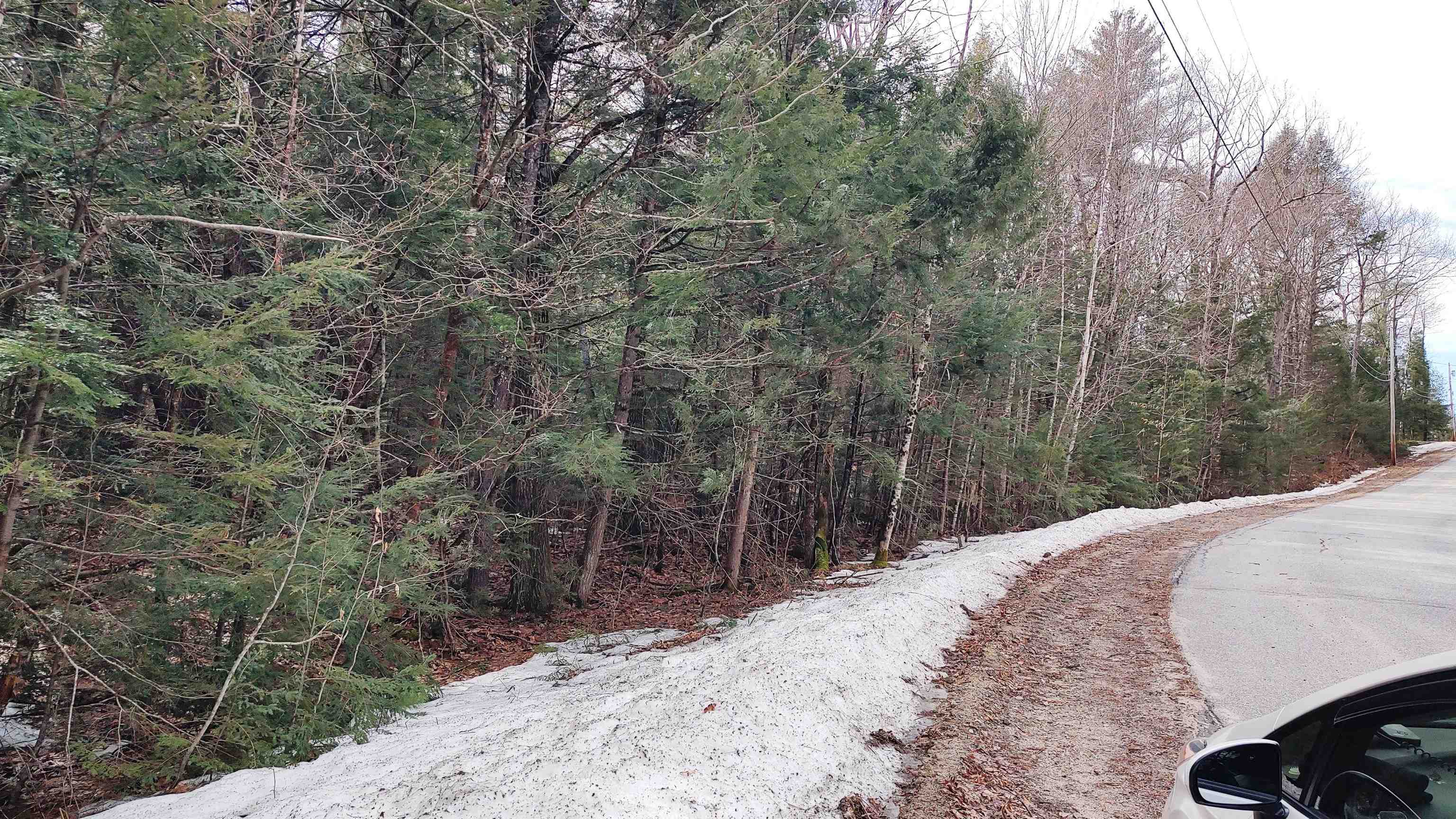 Lot 2-31-6 Bessie Leavitt Lane