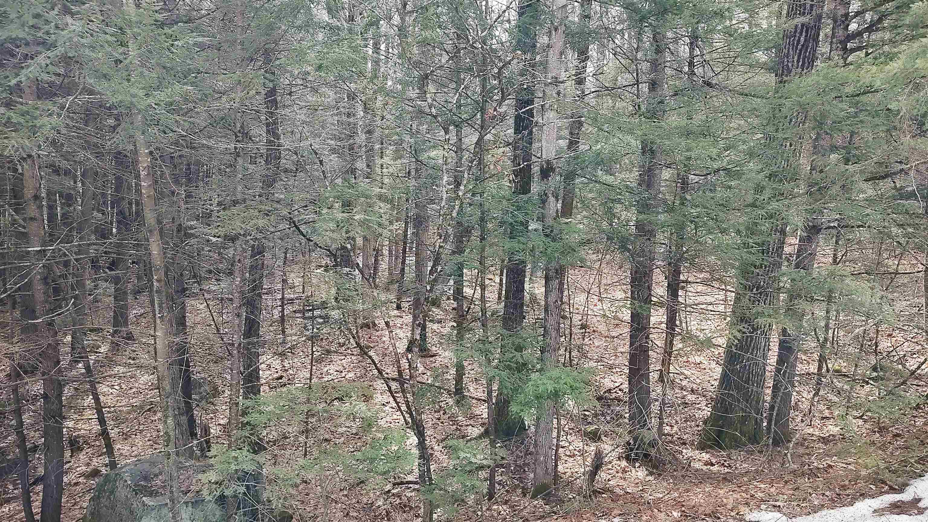 Lot 2-31-6 Bessie Leavitt Lane