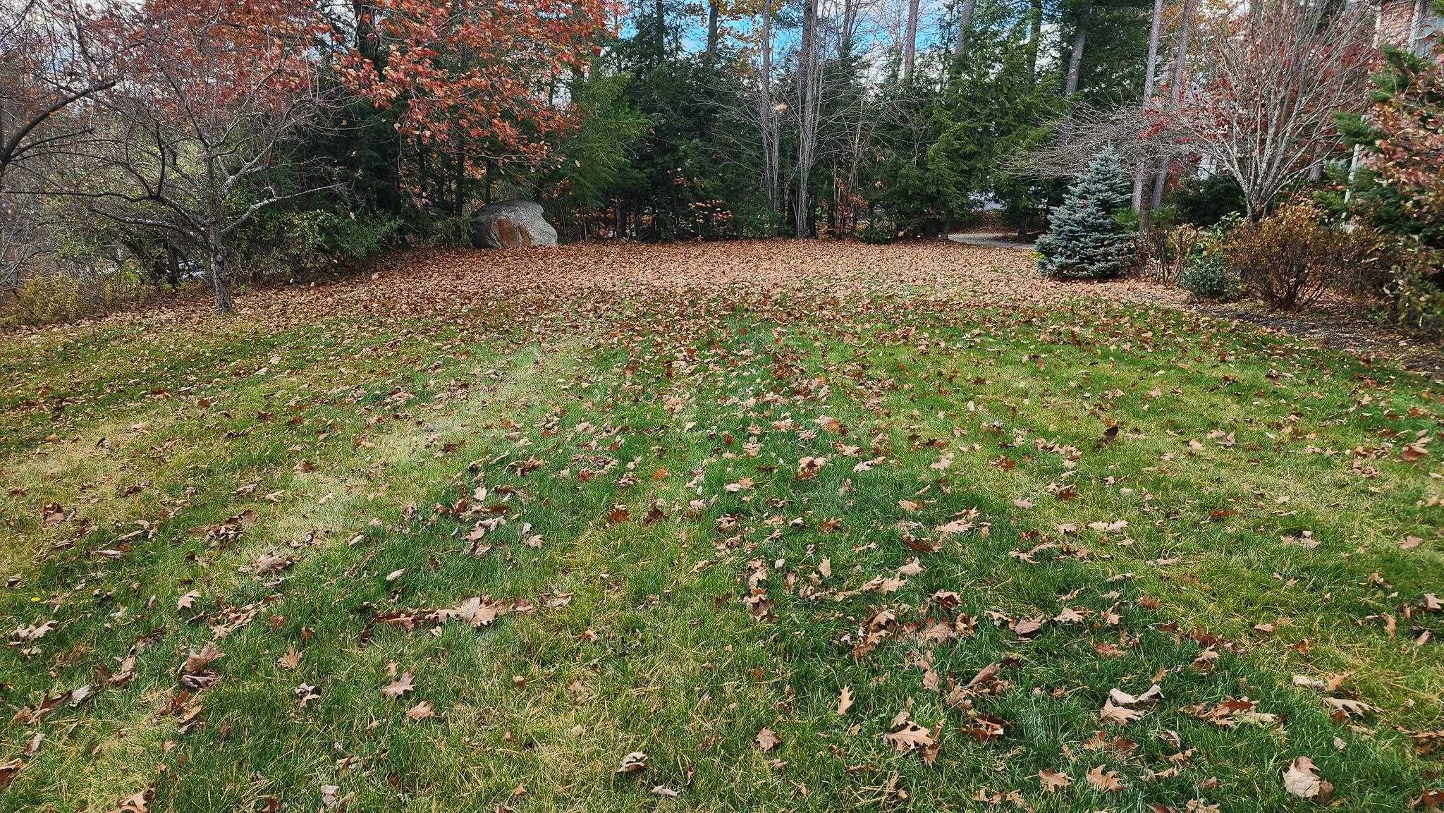 6 Esther Drive