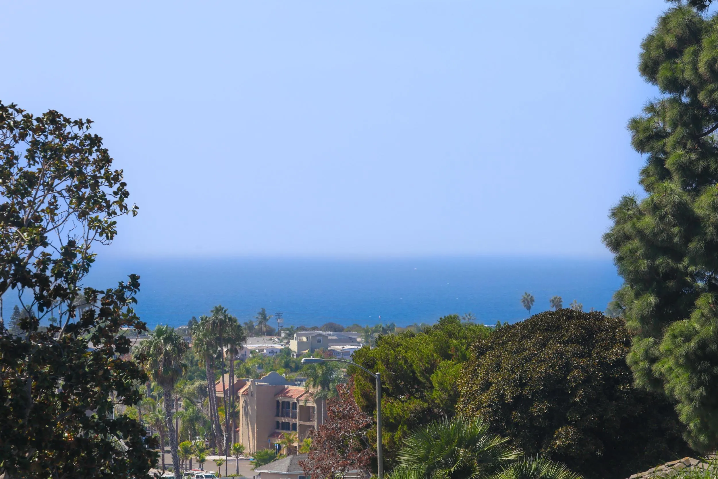 Ocean view over a hillside neighborhood, framed by trees and palms.