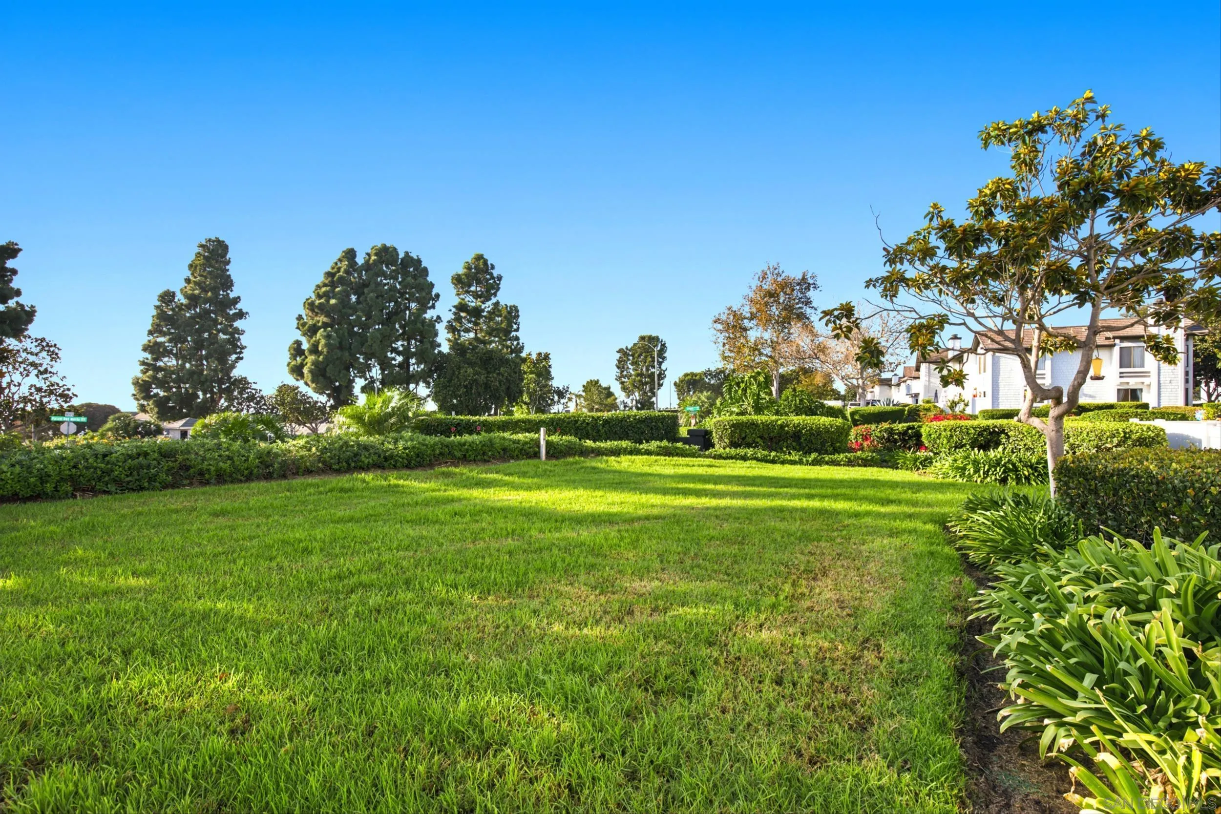 Landscaped lawn with mature trees and hedges in front of white townhomes.