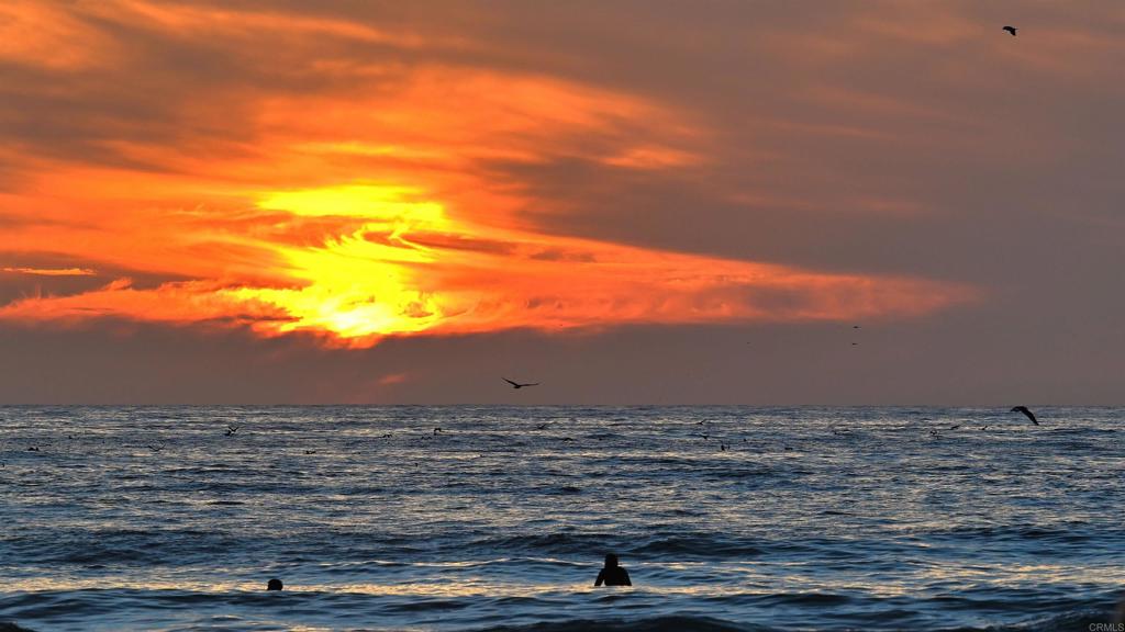 2600 Torrey Pines Rd A14