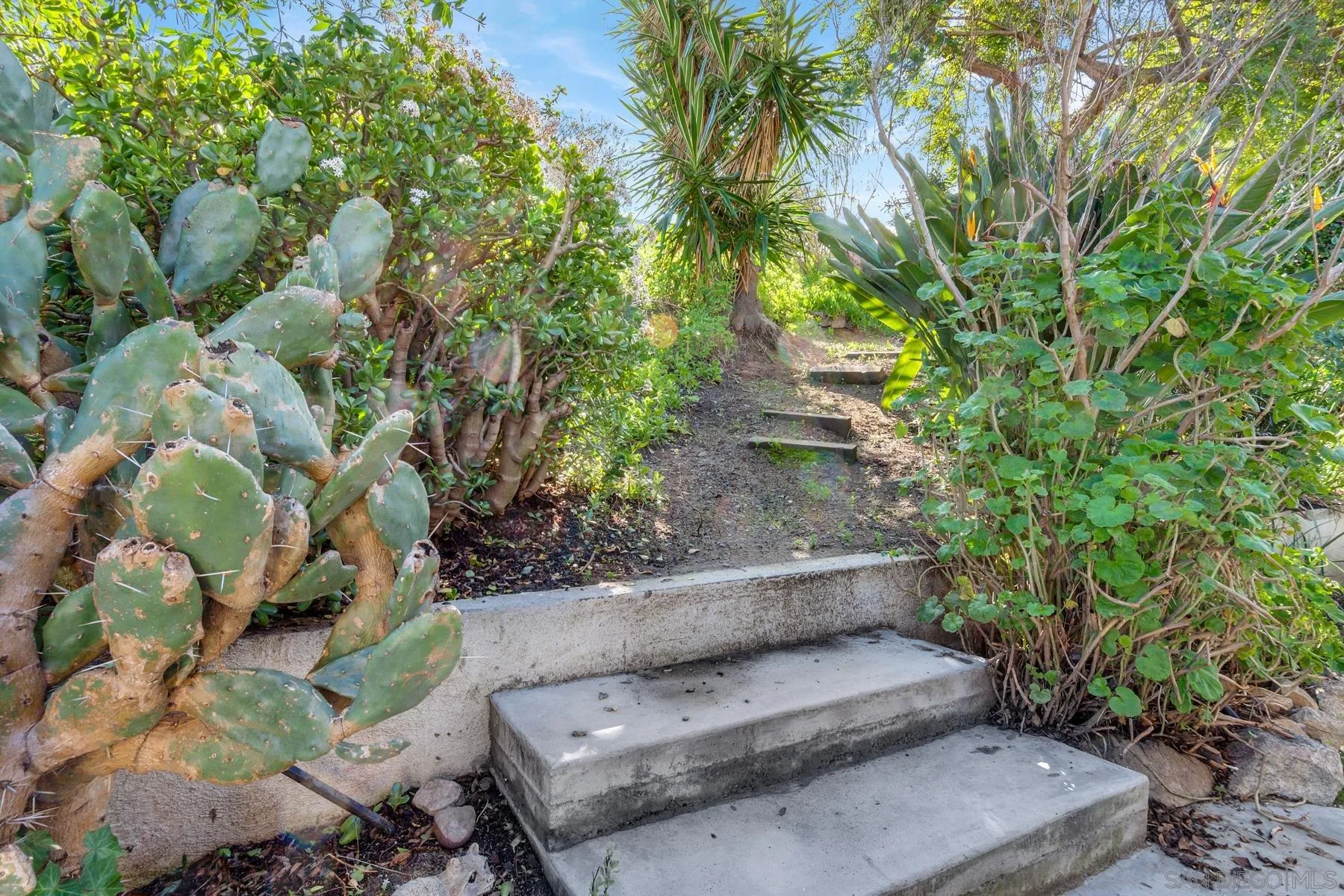16719 Diego Drive