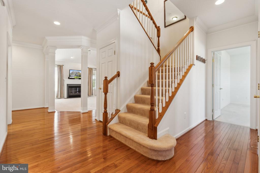 15 TREMONT DRIVE