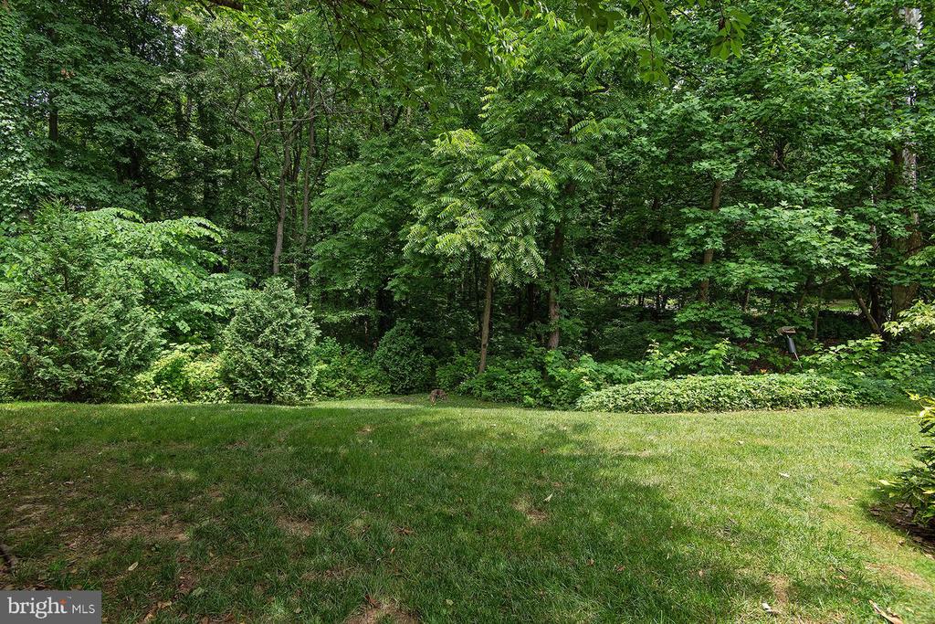 516 ANDREW HILL ROAD