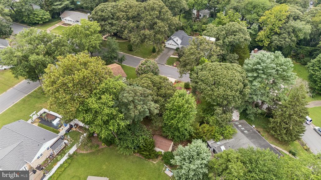 485 WHITE CEDAR LANE