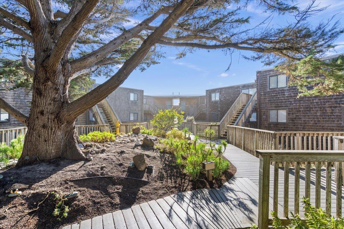 101 Shell DR 211