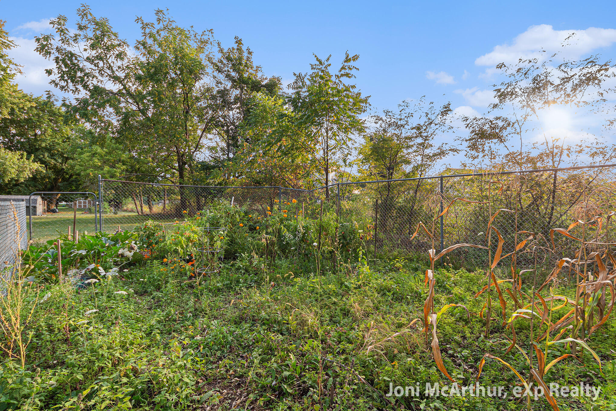 1133 Maplerow Avenue NW