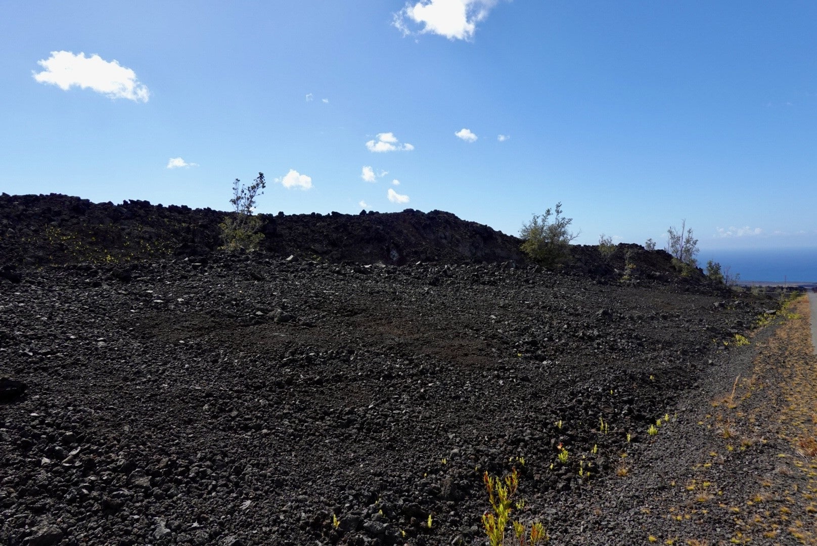 92-1082 KONA GARDENS RD
