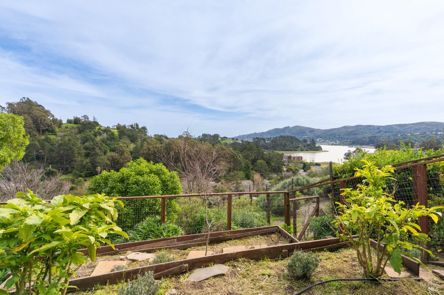 50 Milland Dr