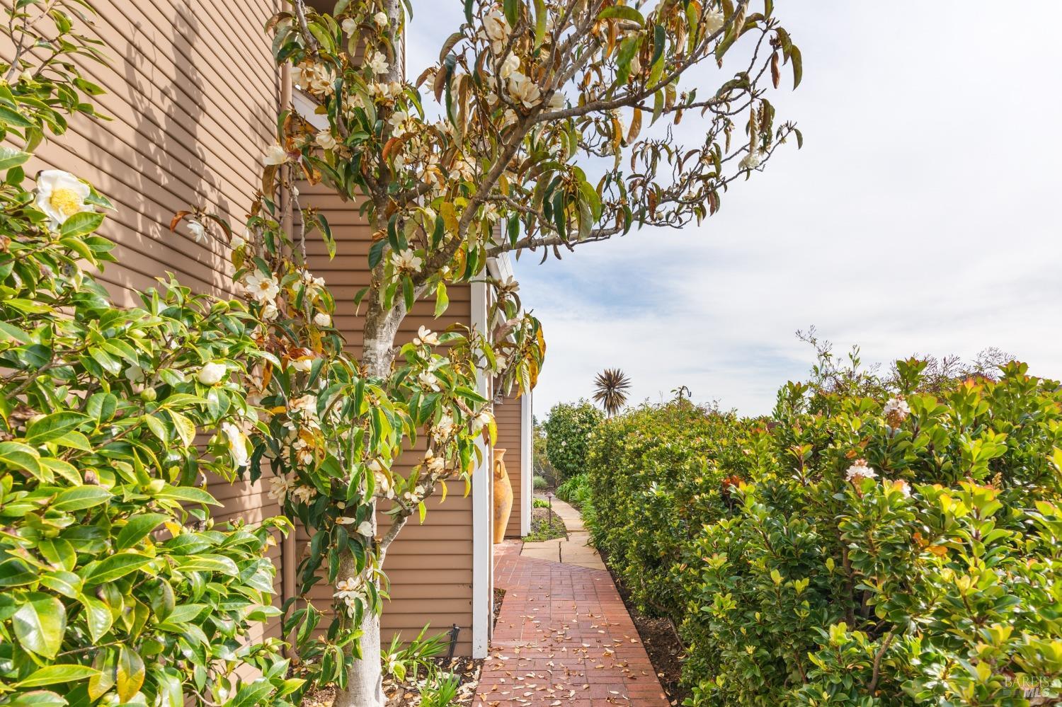 50 Milland Dr