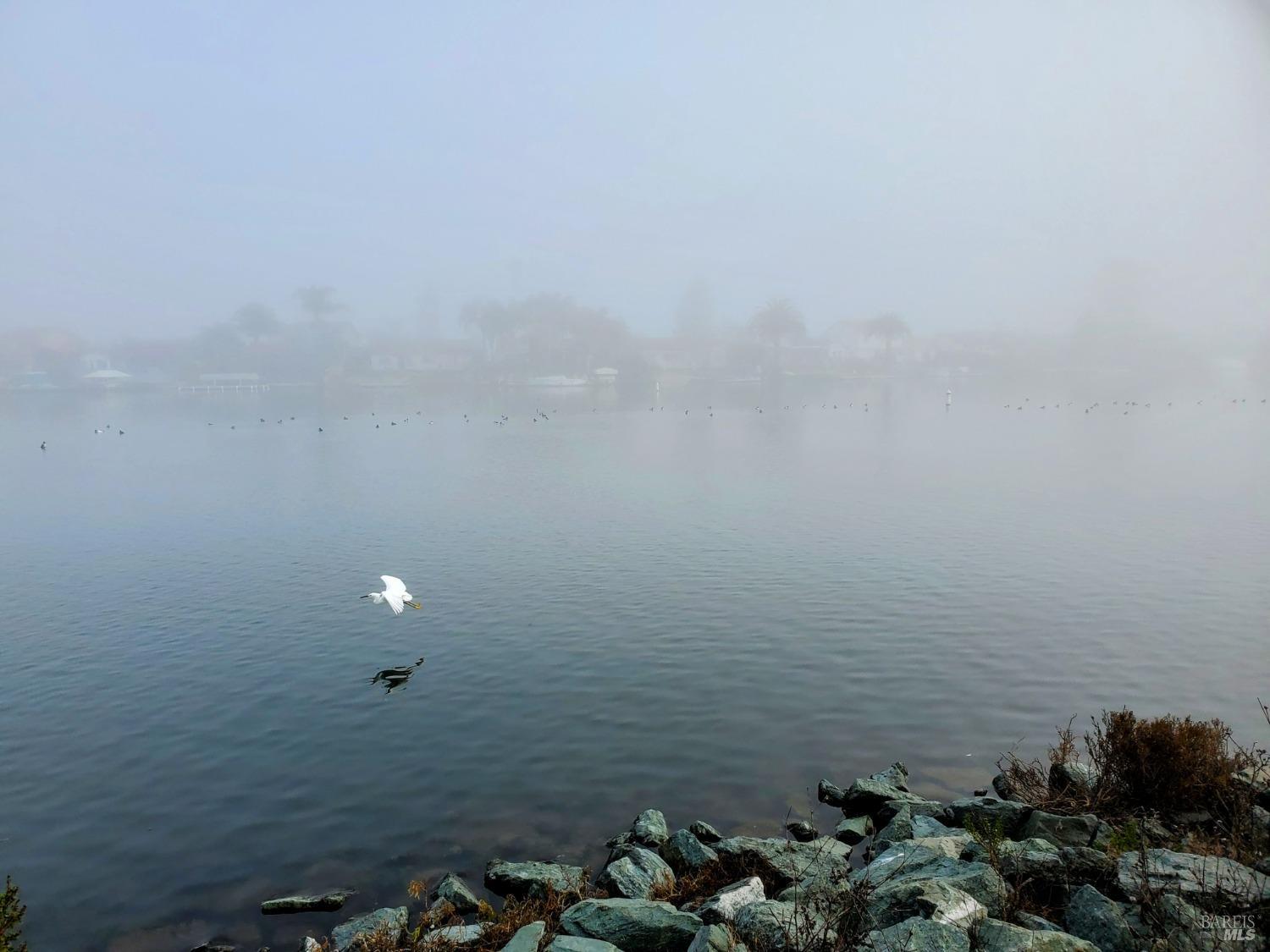 926 Bel Marin Keys Blvd